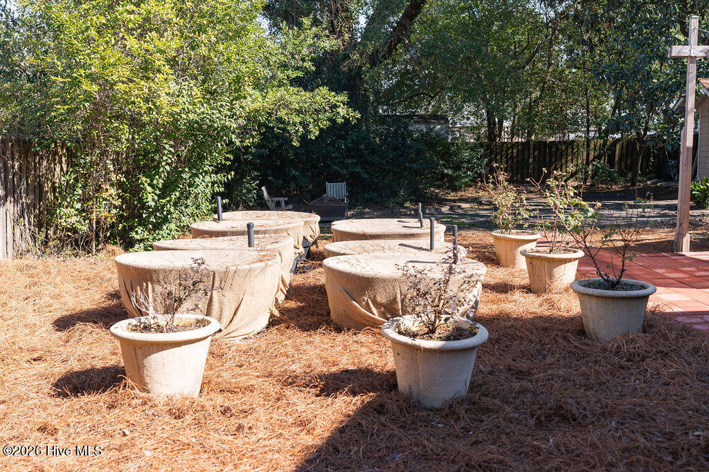 100554317 | Photo 33