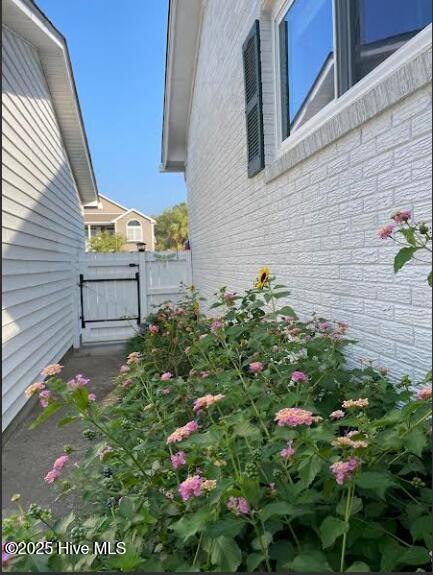 100540087 | Photo 47