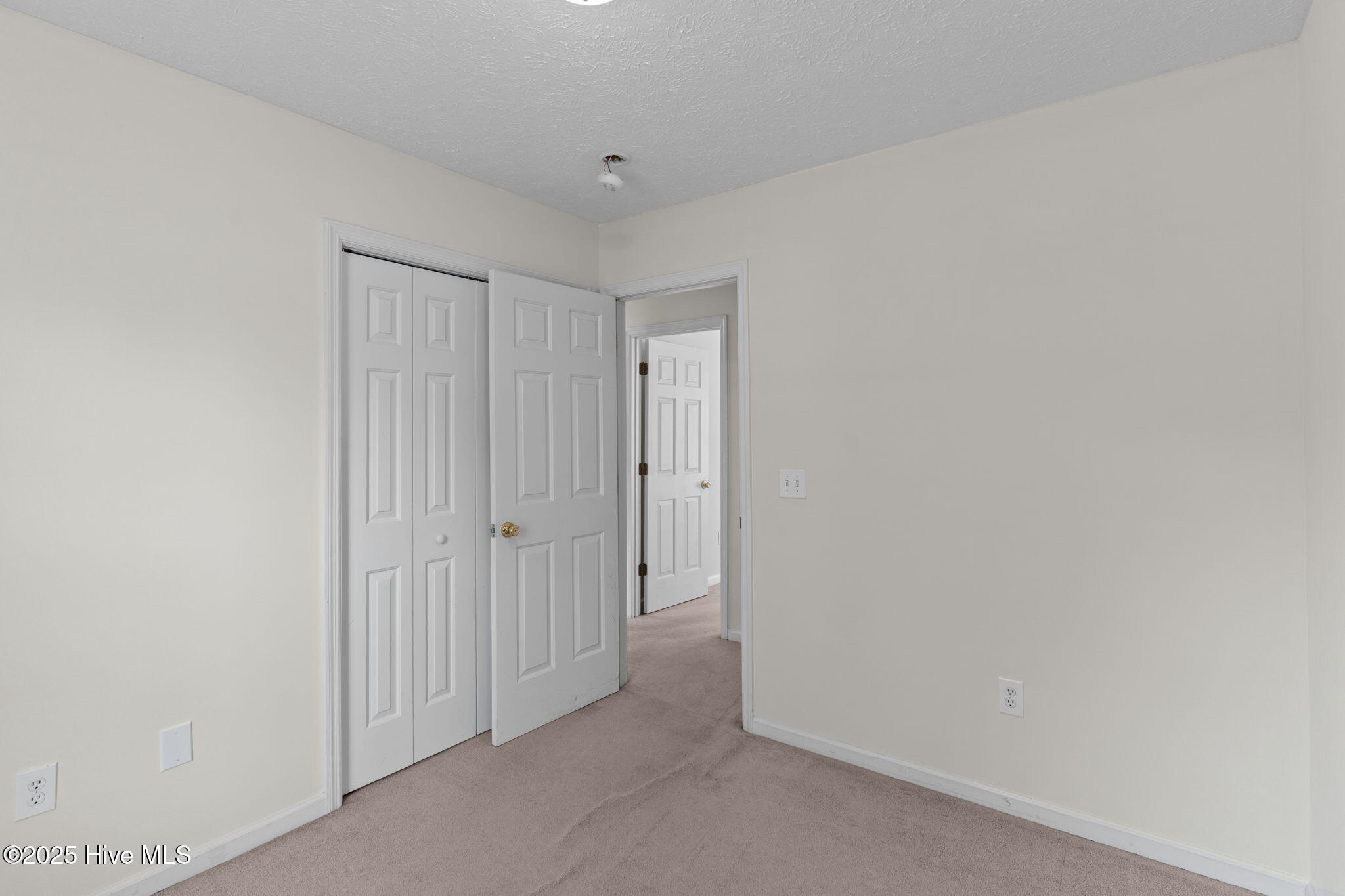 100526319 | Photo 34