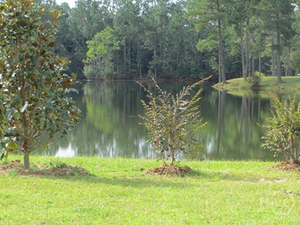 103 Pinebury Road, Pooler, GA, 31322