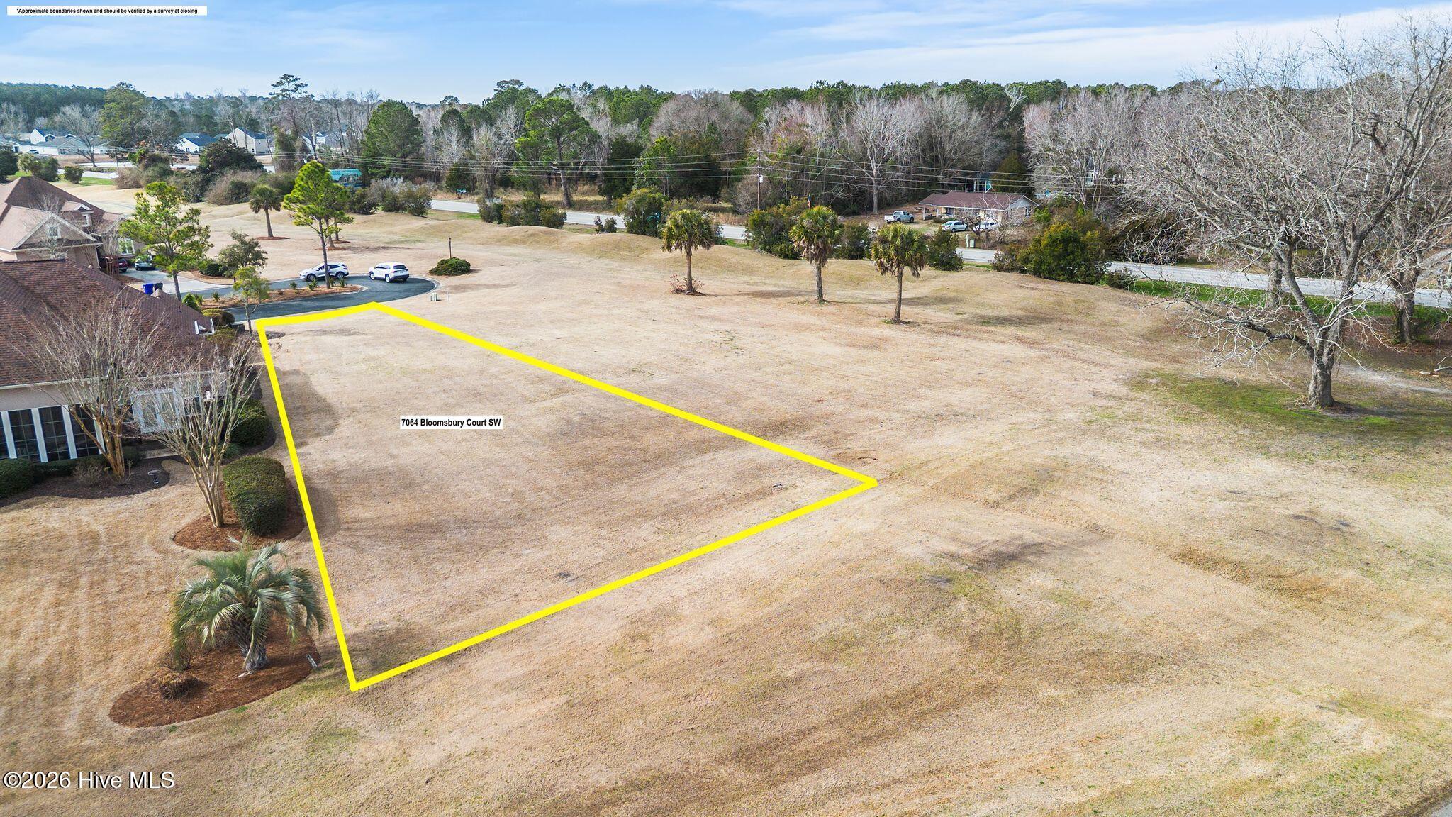 100555855 | Photo 13