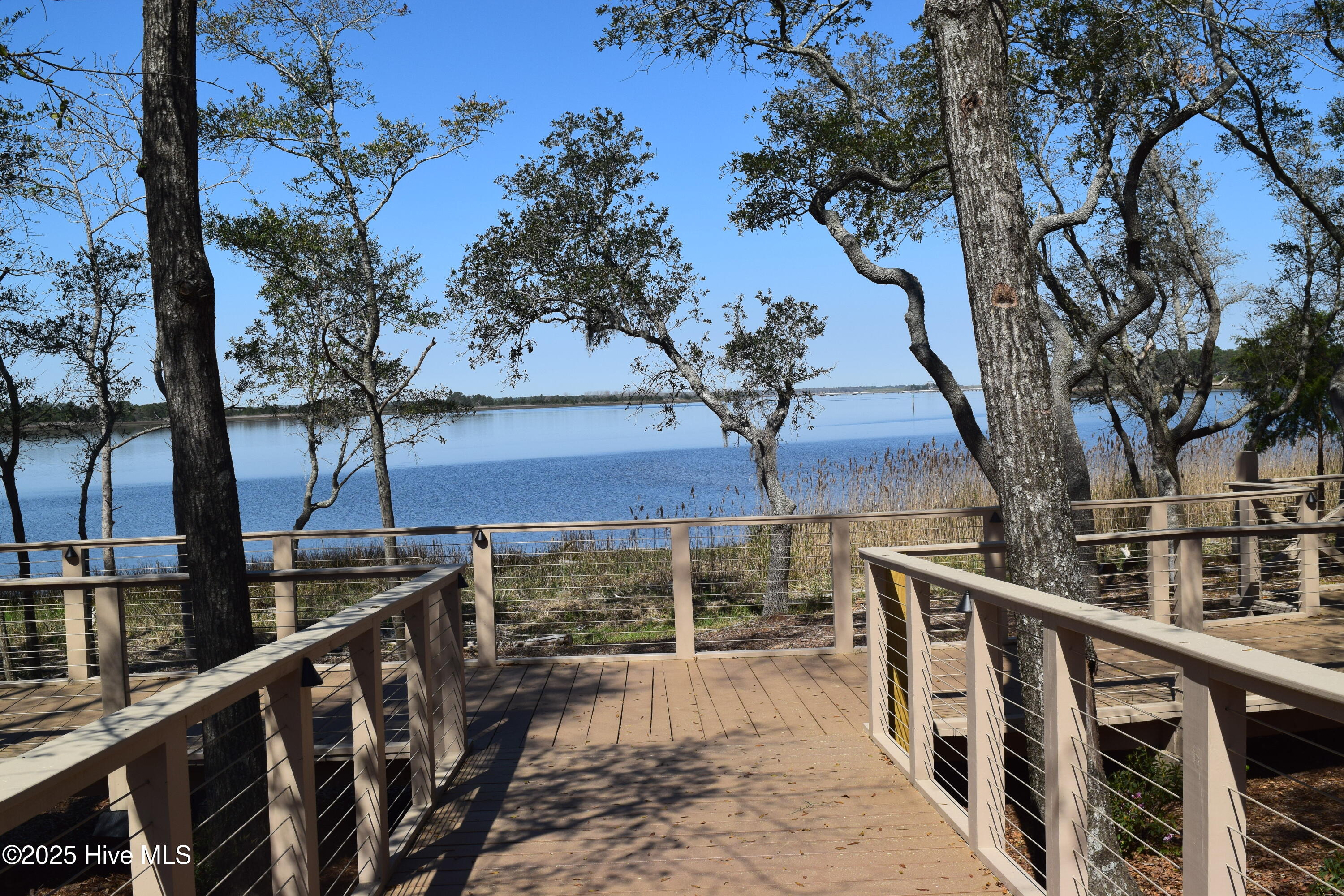 100557936 | Photo 51