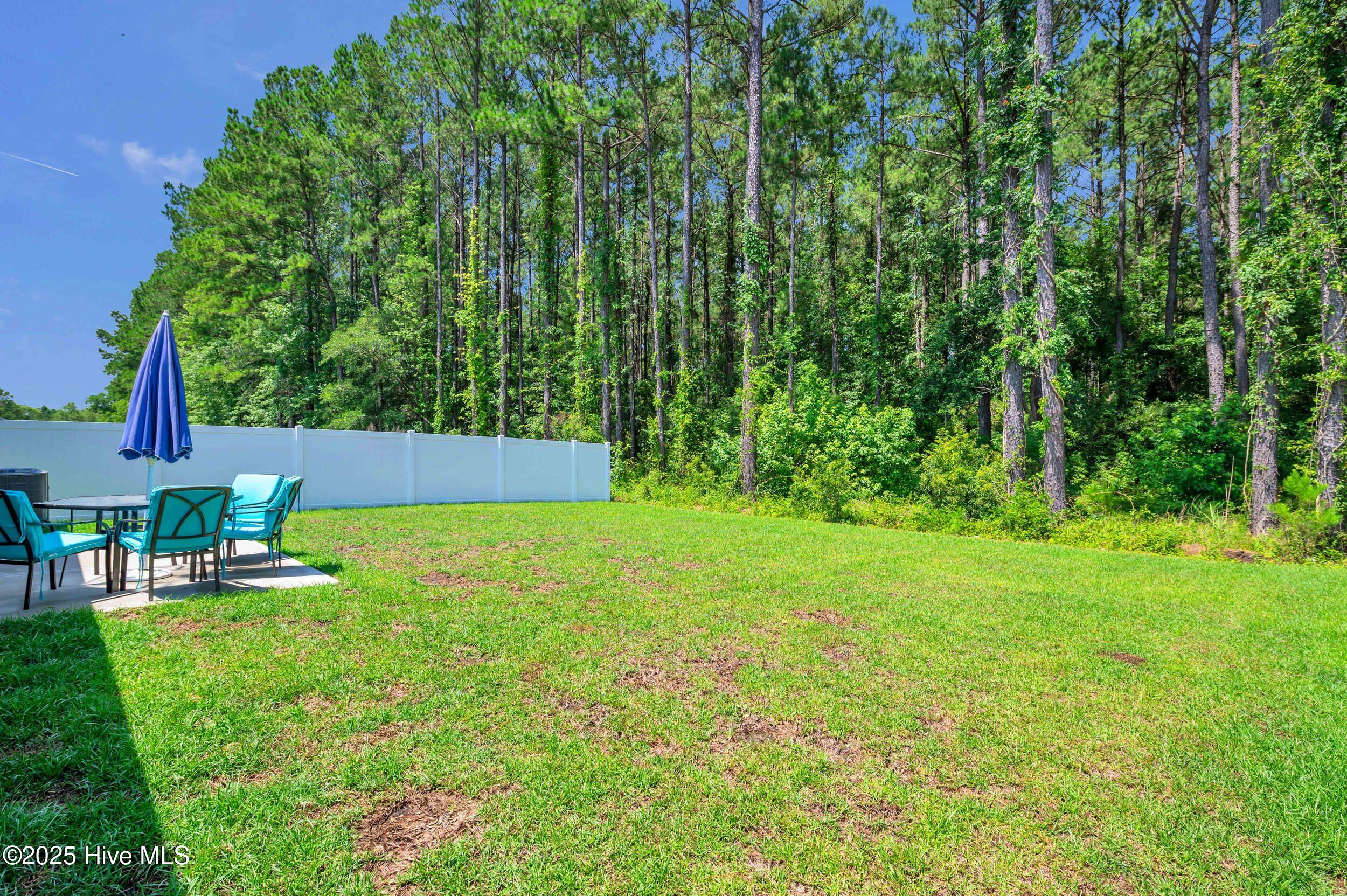 100570488 | Photo 28