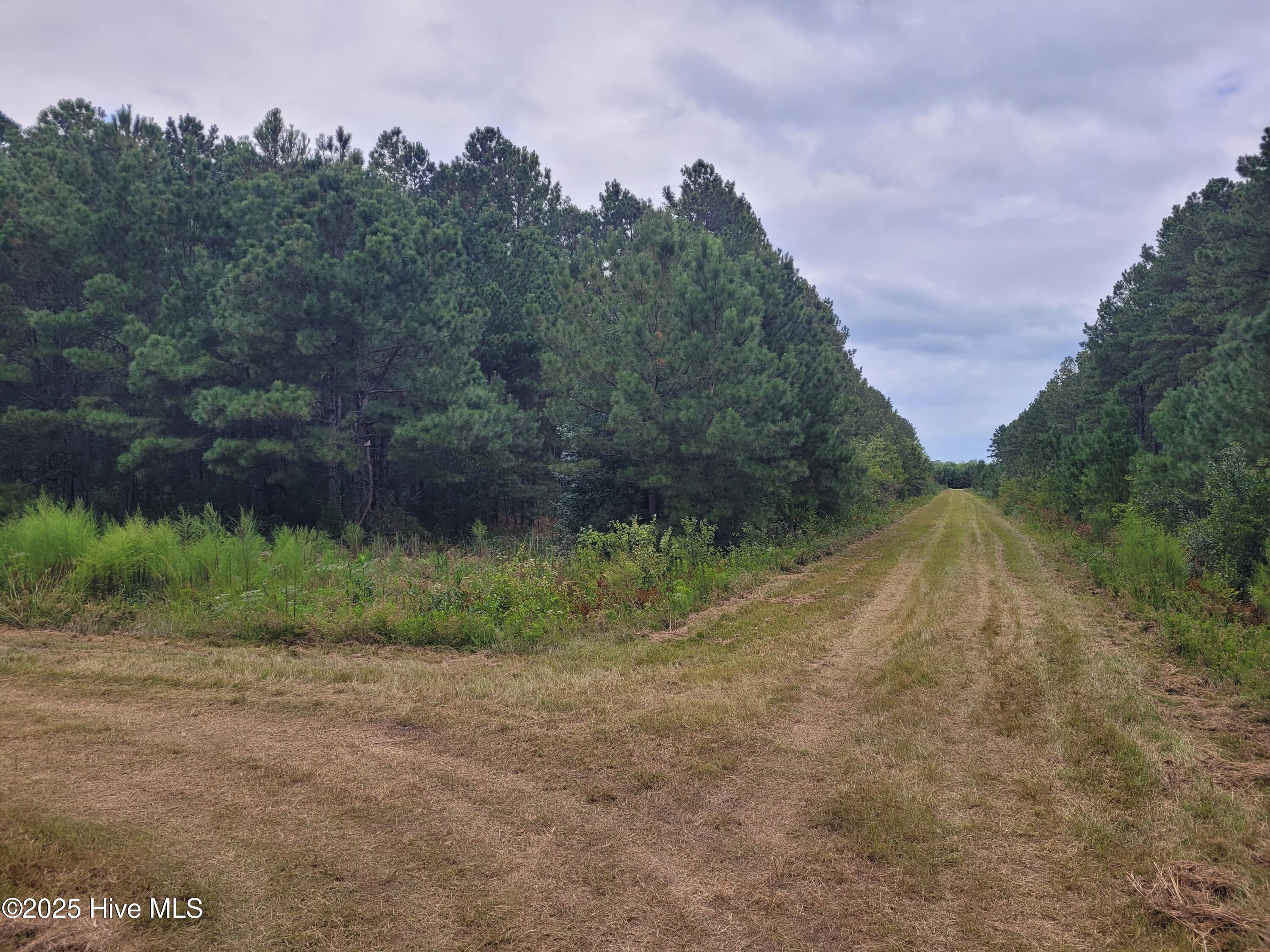 10) 63172-68cd807ceb676