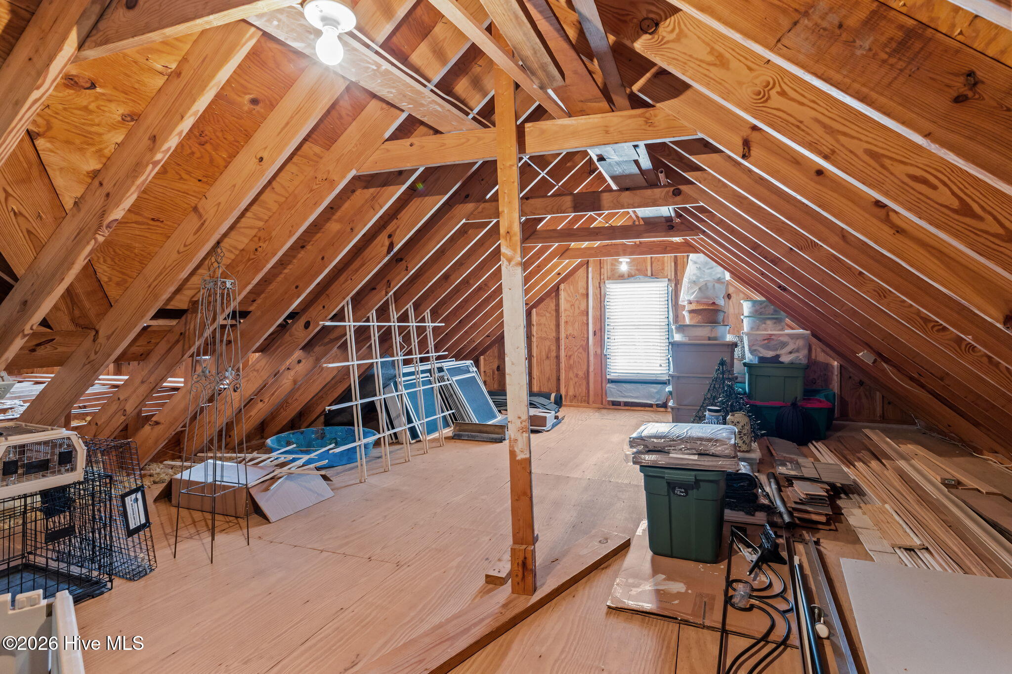 100564059 | Photo 33