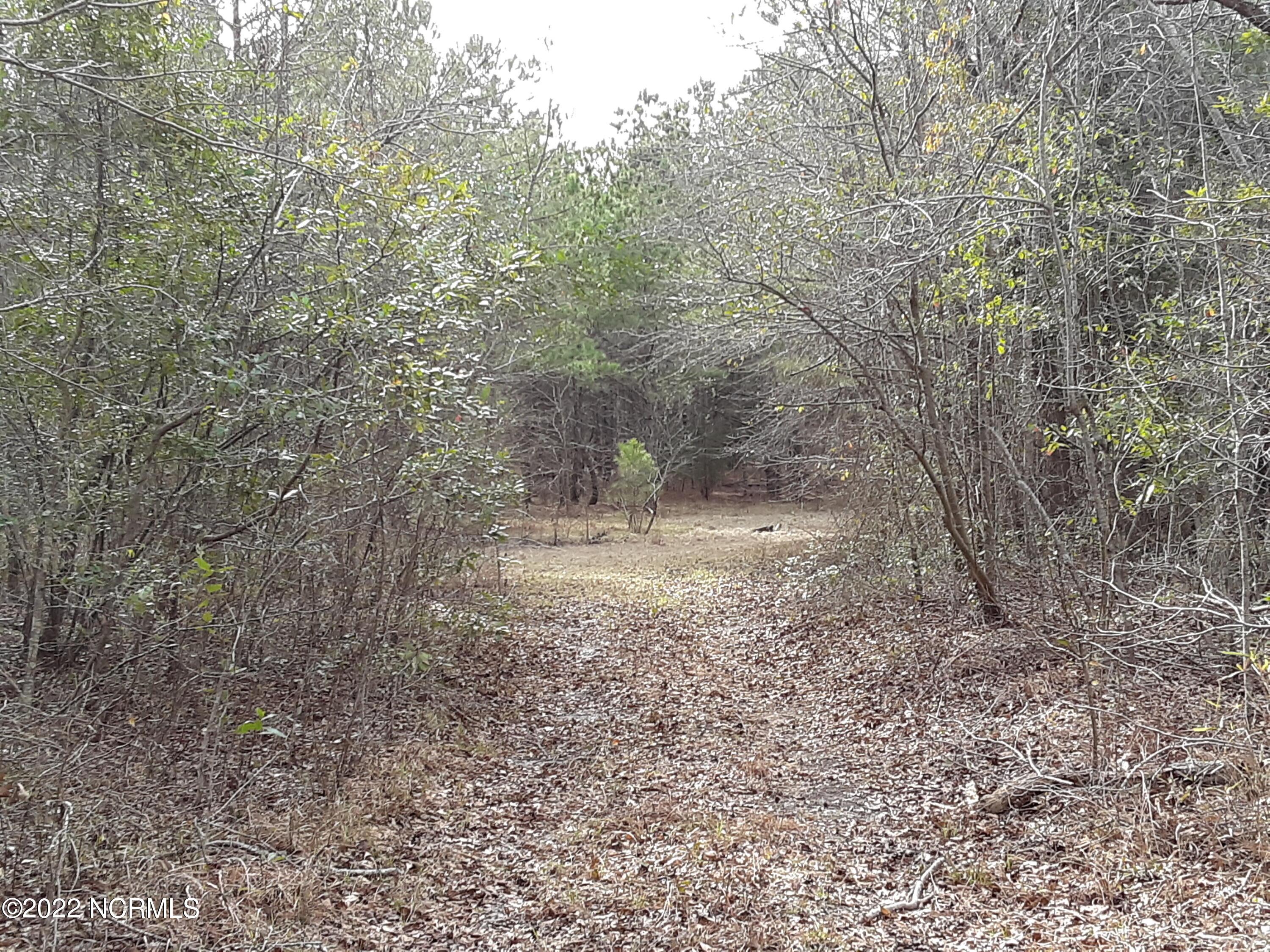 D08-66 John Pollock Road, Grantsboro, NC, 28529