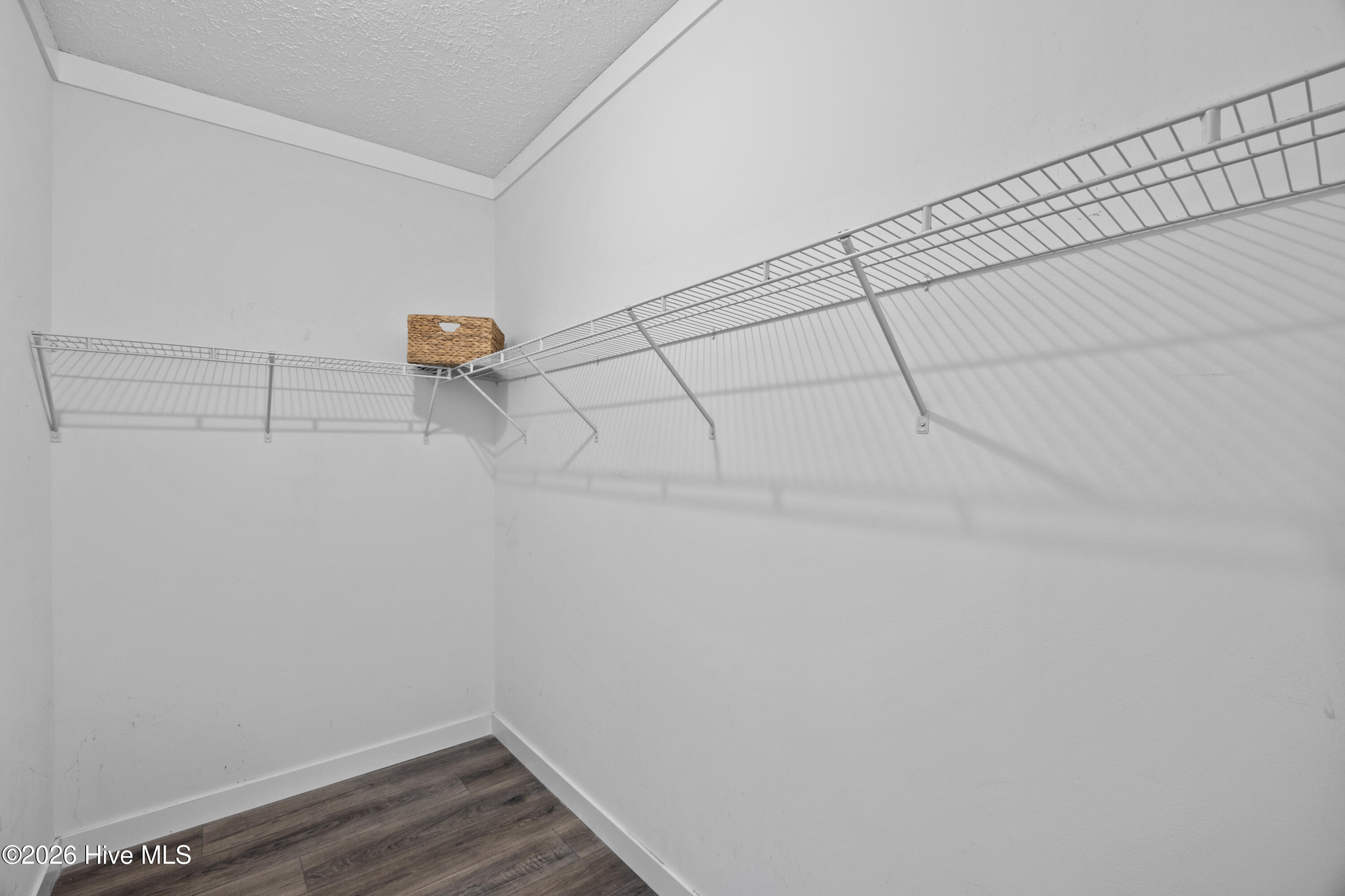 100559511 | Photo 33