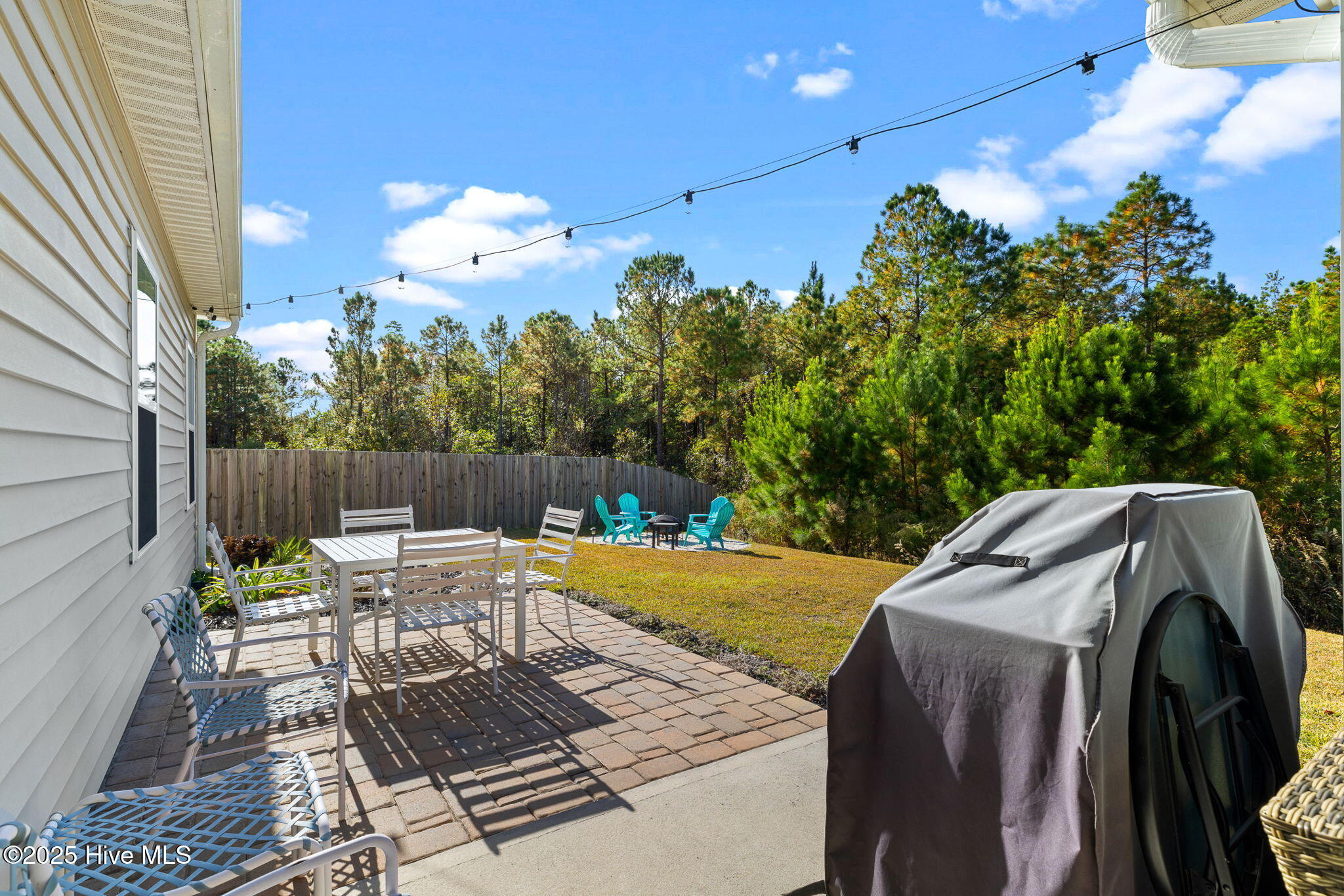 100541637 | Photo 51