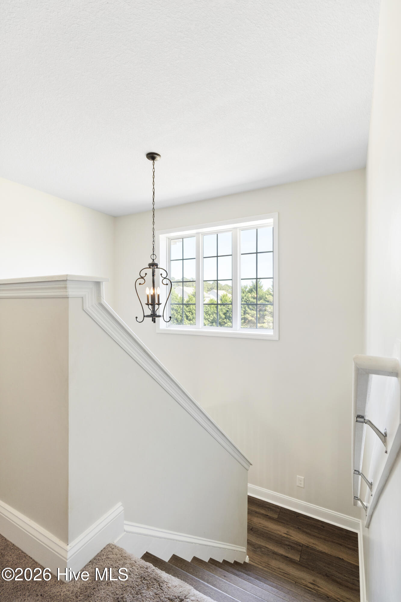 100564878 | Photo 29