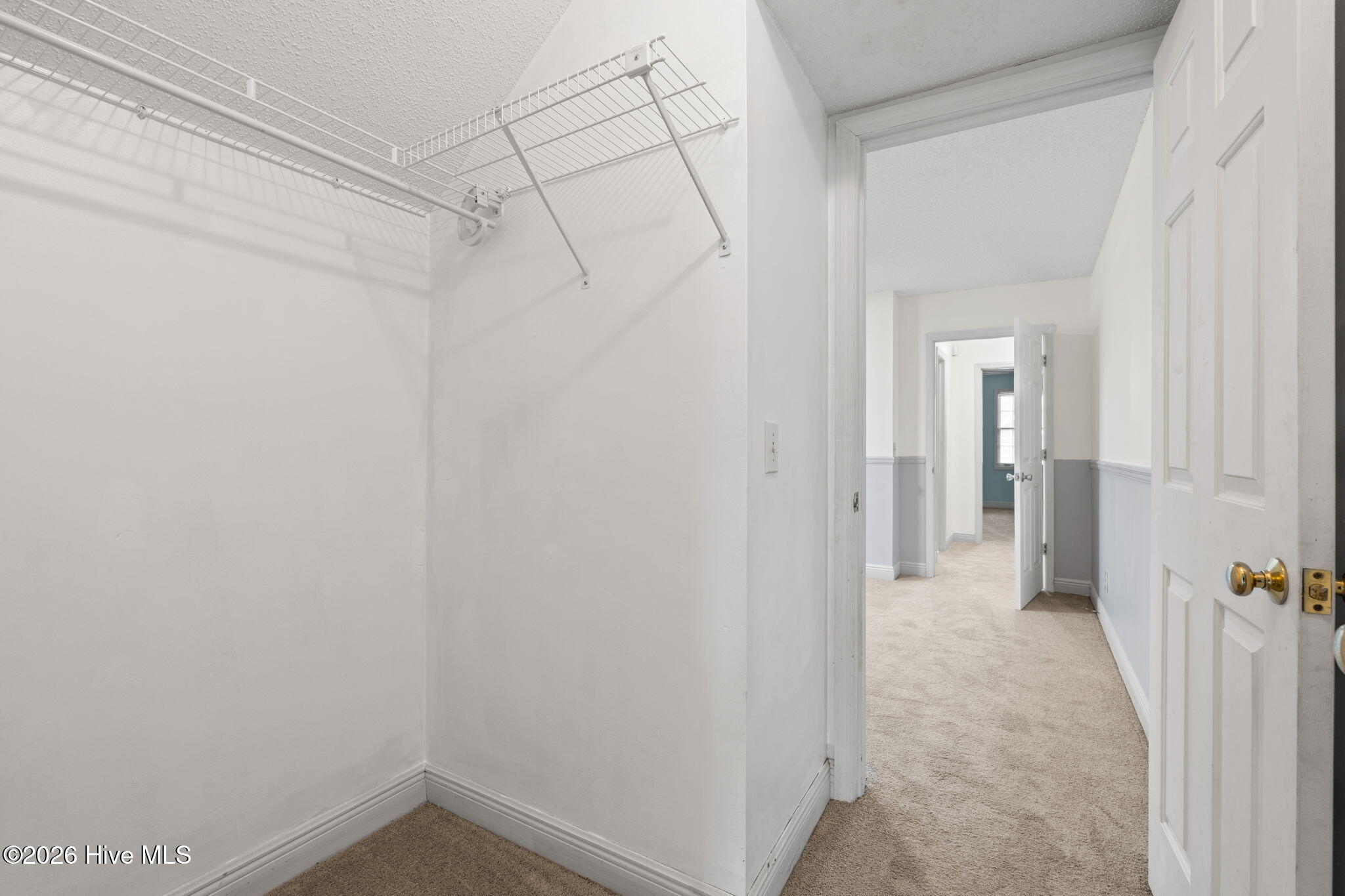 100564721 | Photo 53