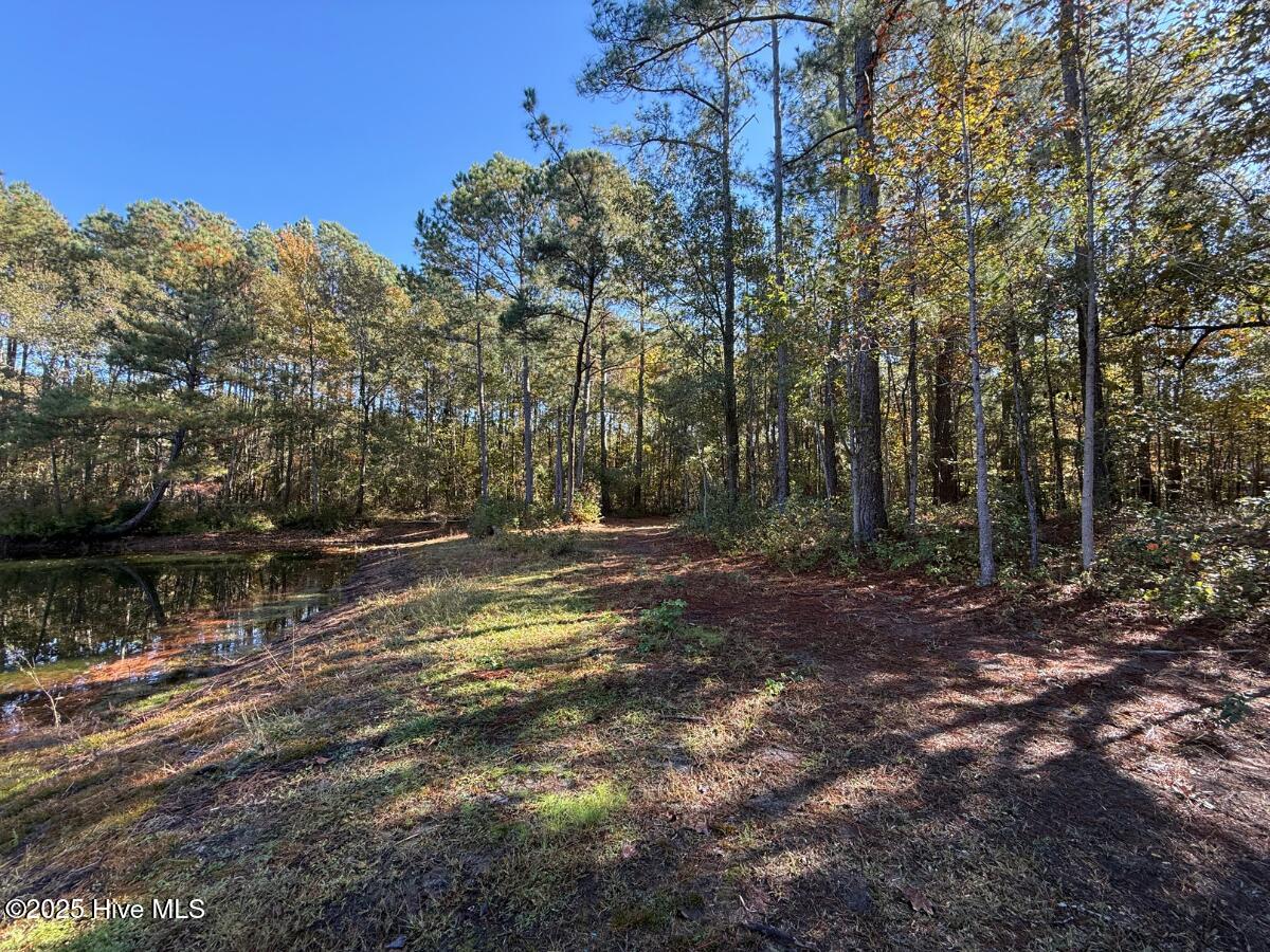 100540348 | Photo 13