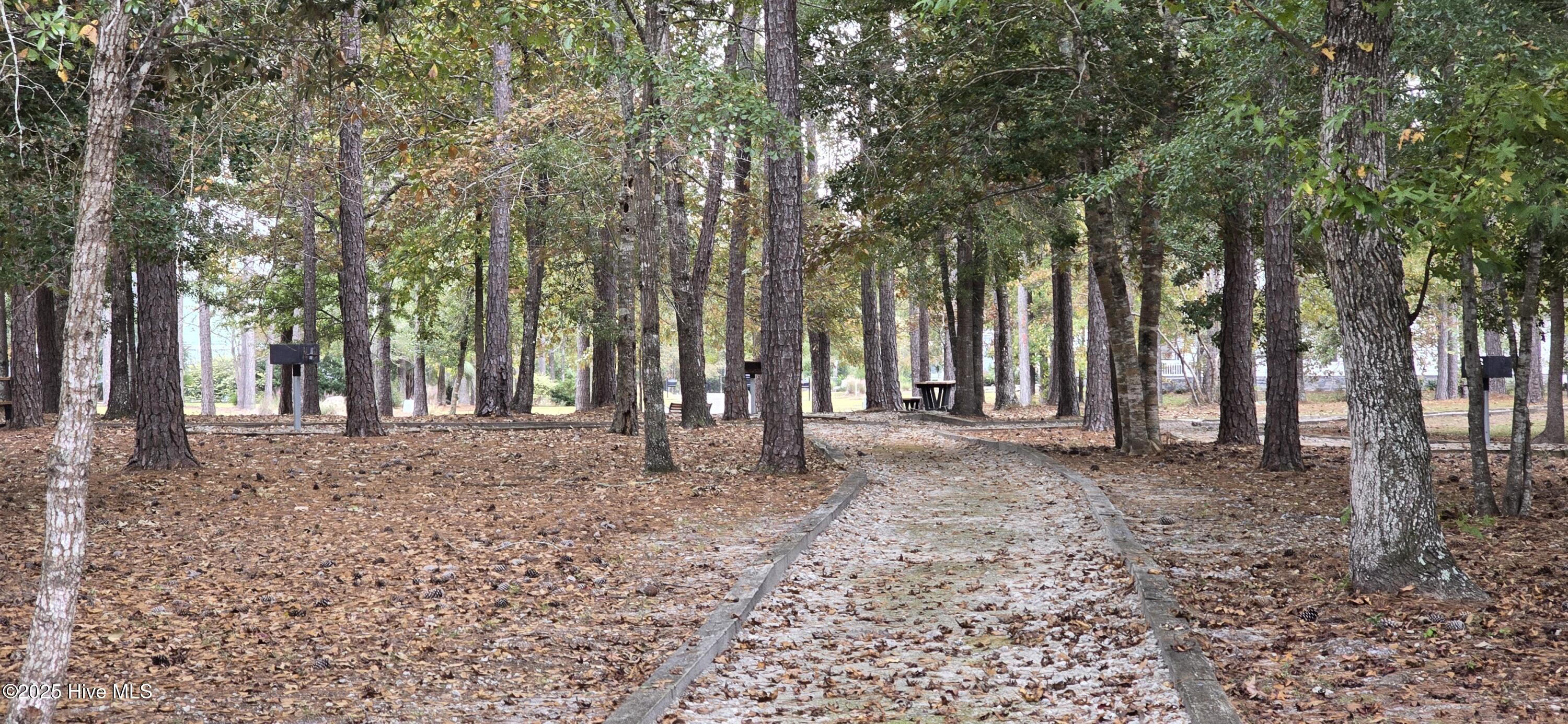 100522930 | Photo 20