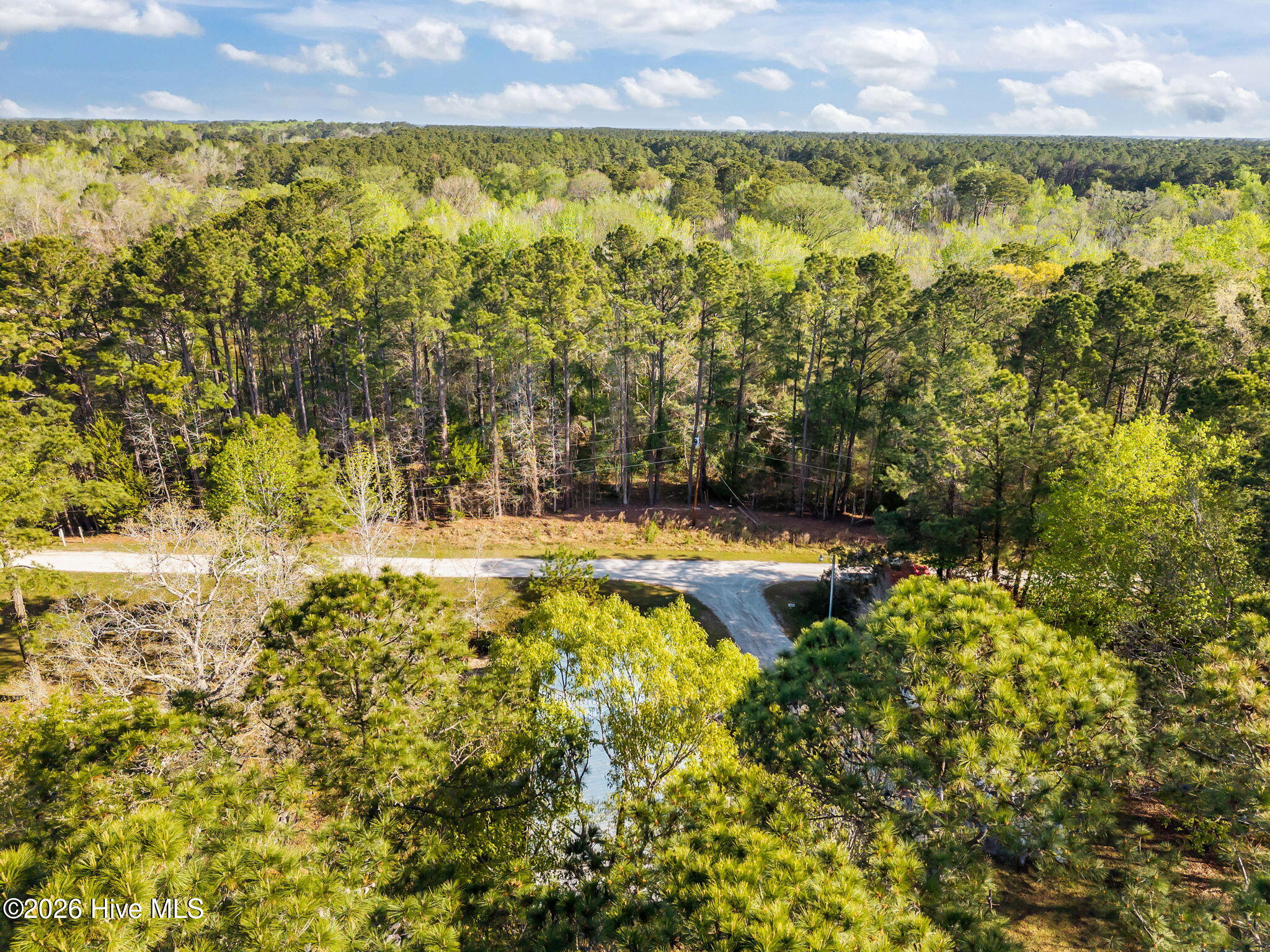 100565011 | Photo 44