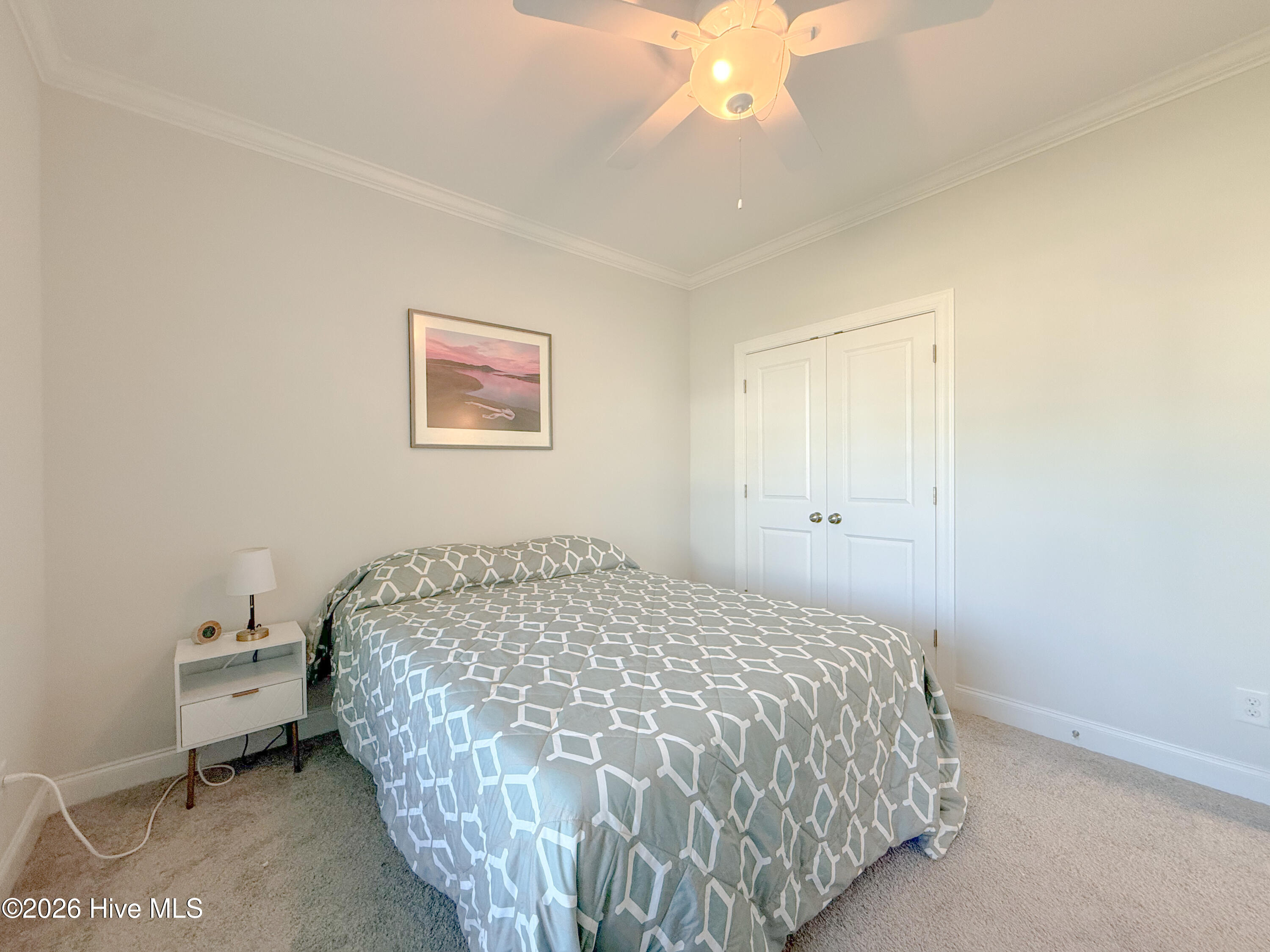 100567915 | Photo 49