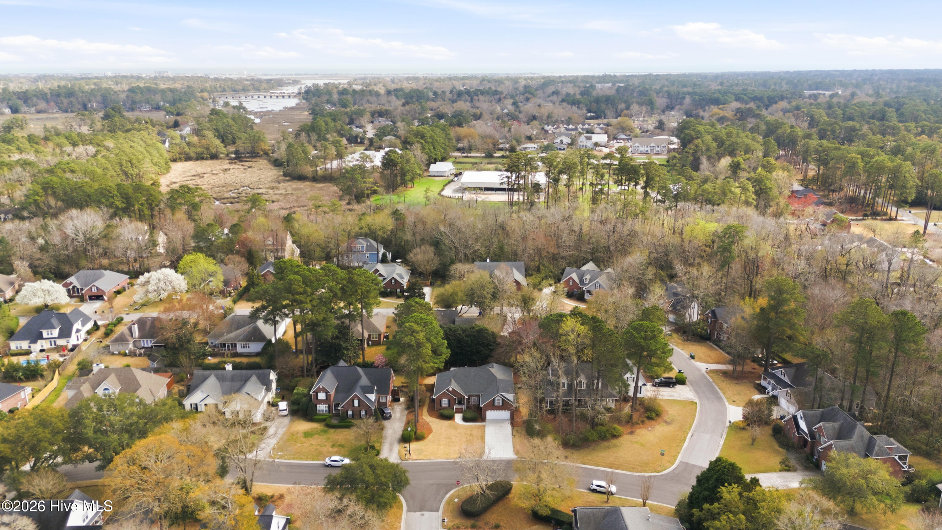 100560916 | Photo 90