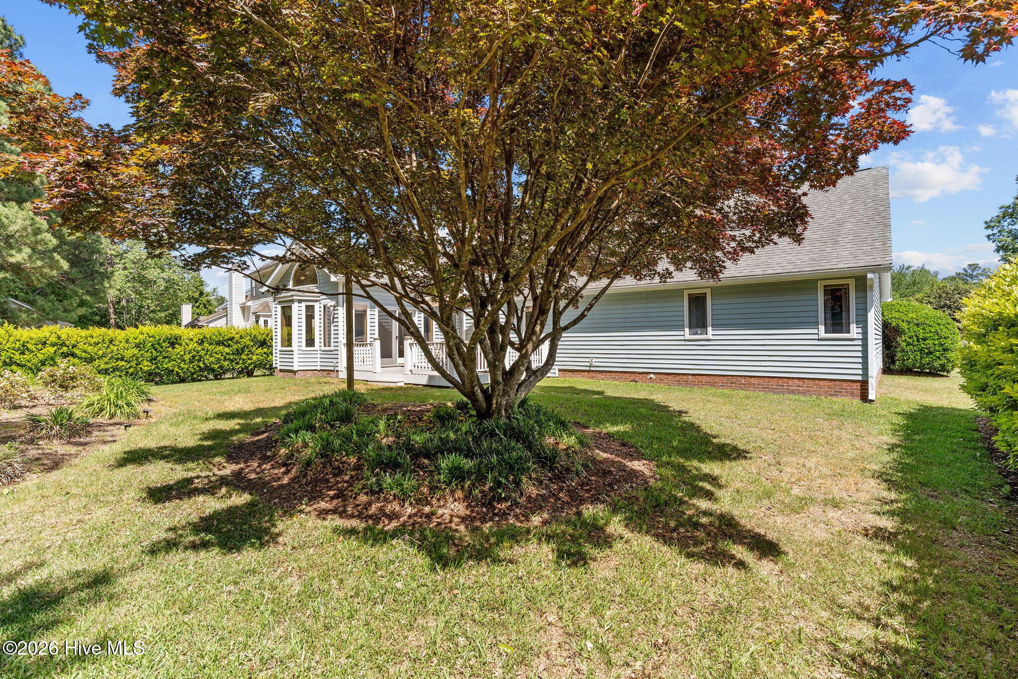 100568995 | Photo 42