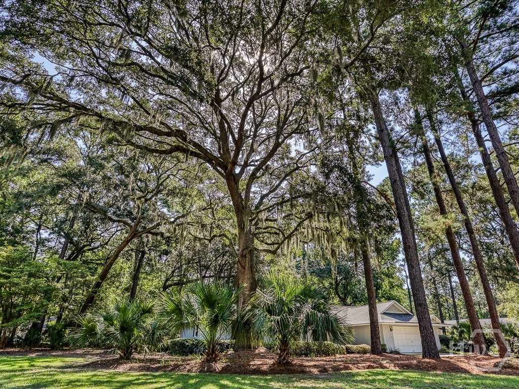 5th image of 262 Wiley Bottom Rd, Savannah, GA 31411 | MLS# SA363067