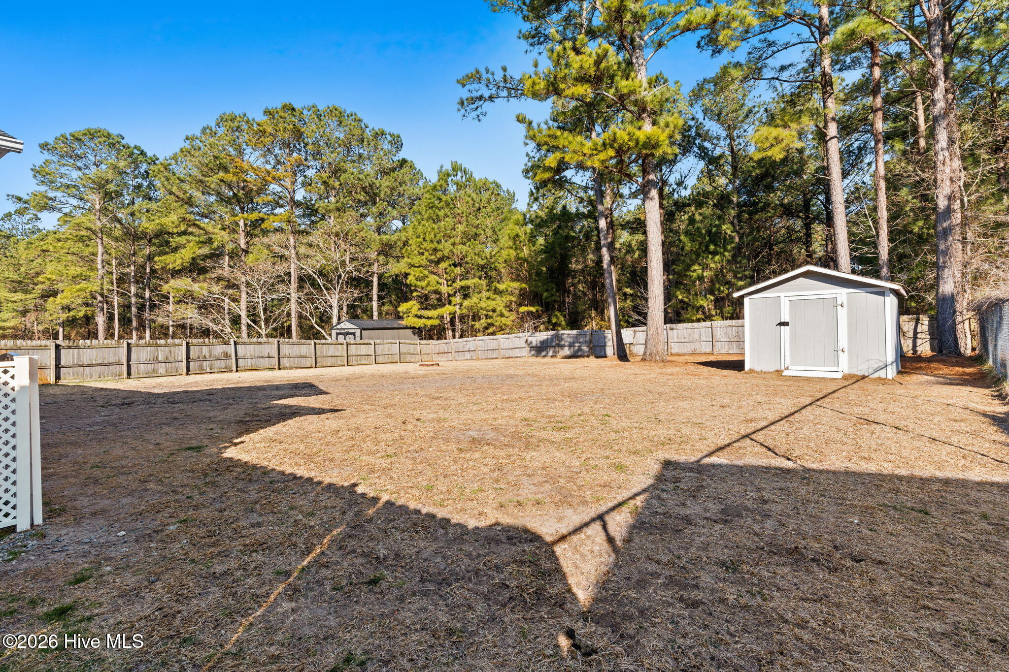 100553429 | Photo 29