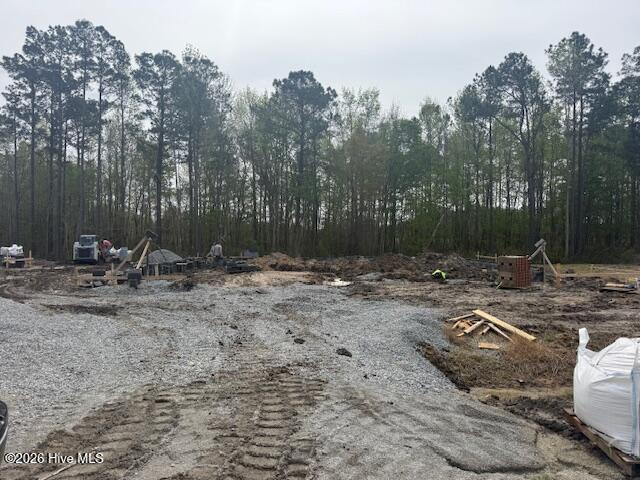 100563437 | Photo 38