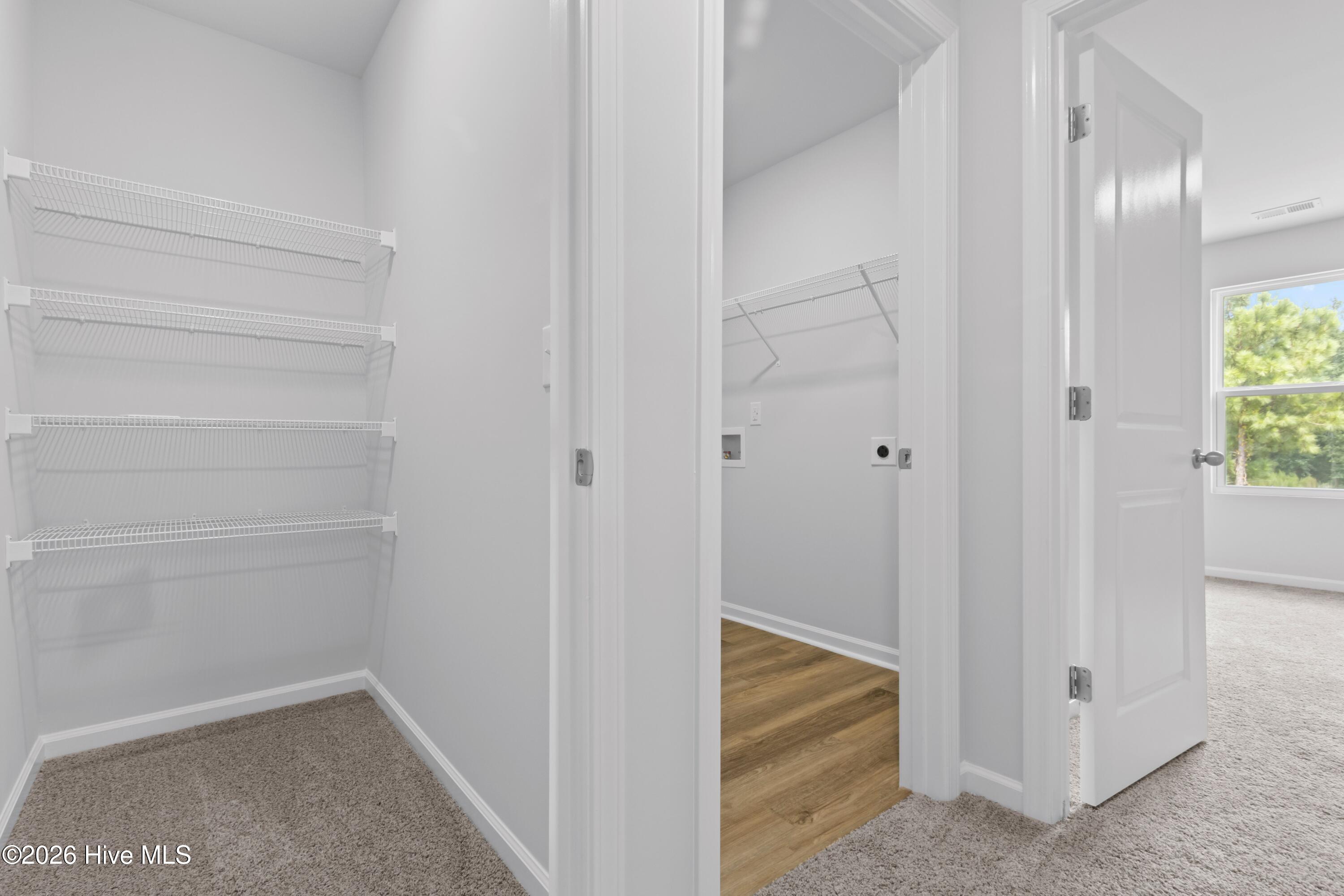 100557656 | Photo 51