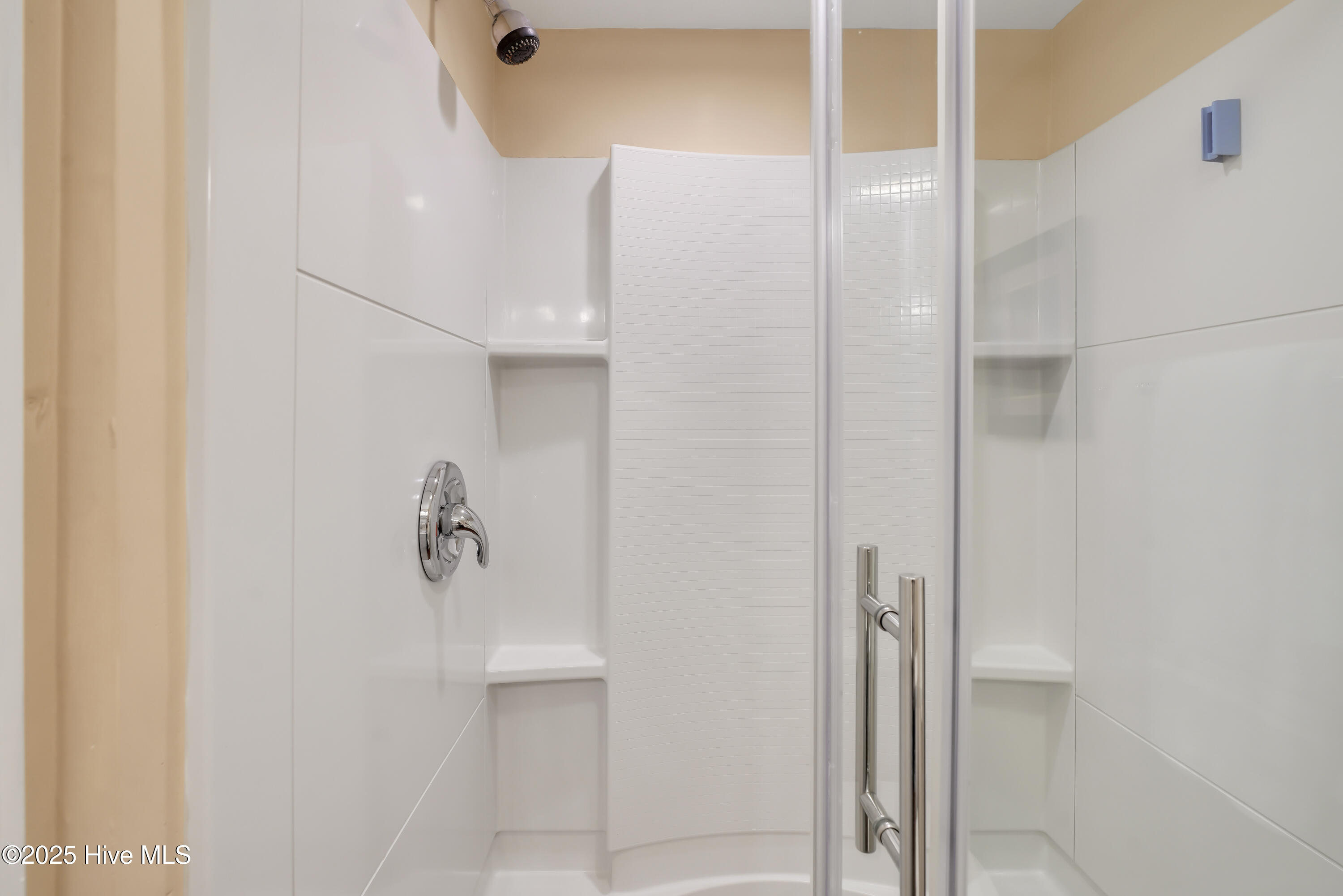 100556087 | Photo 15