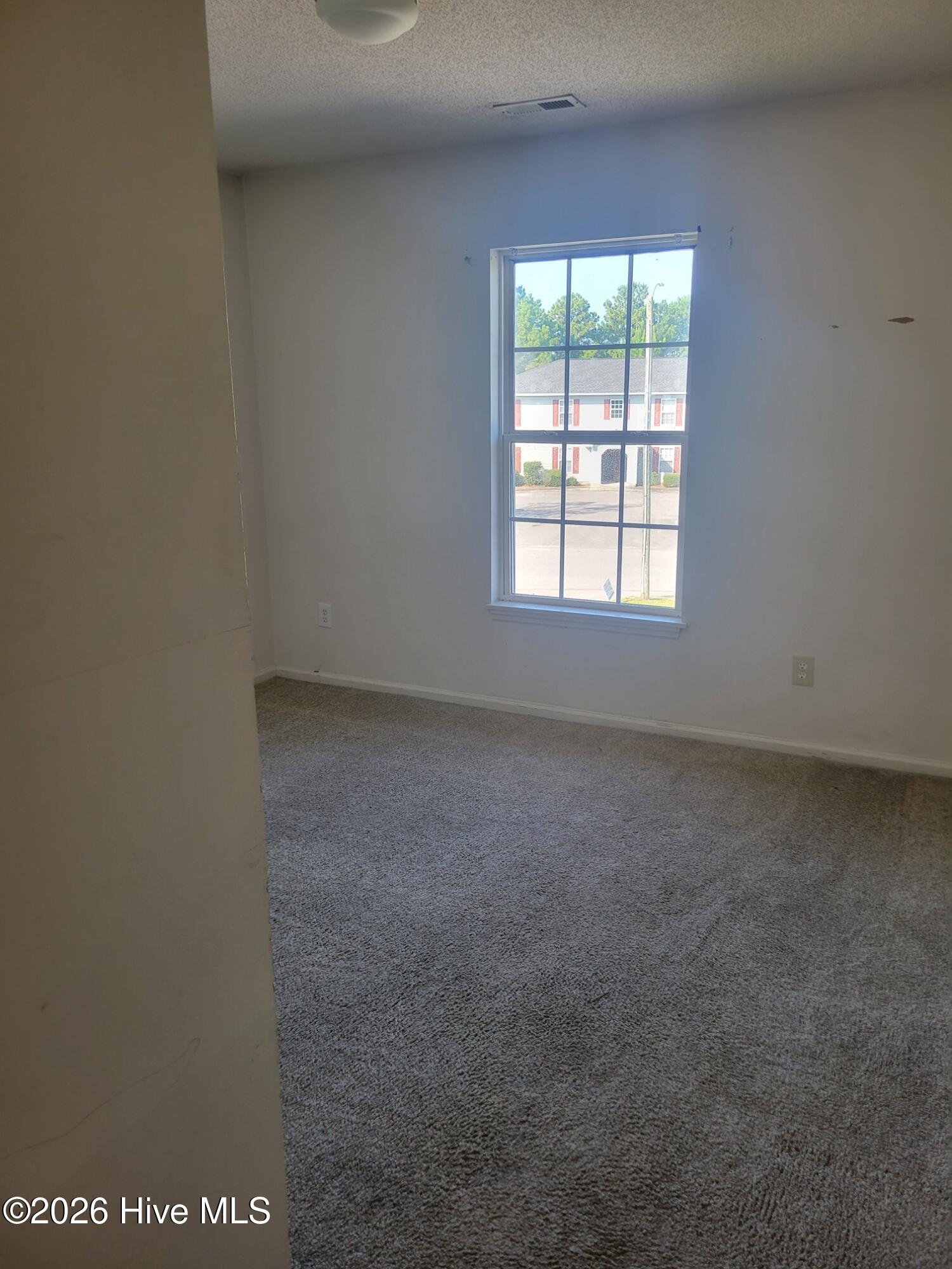 100563127 | Photo 14