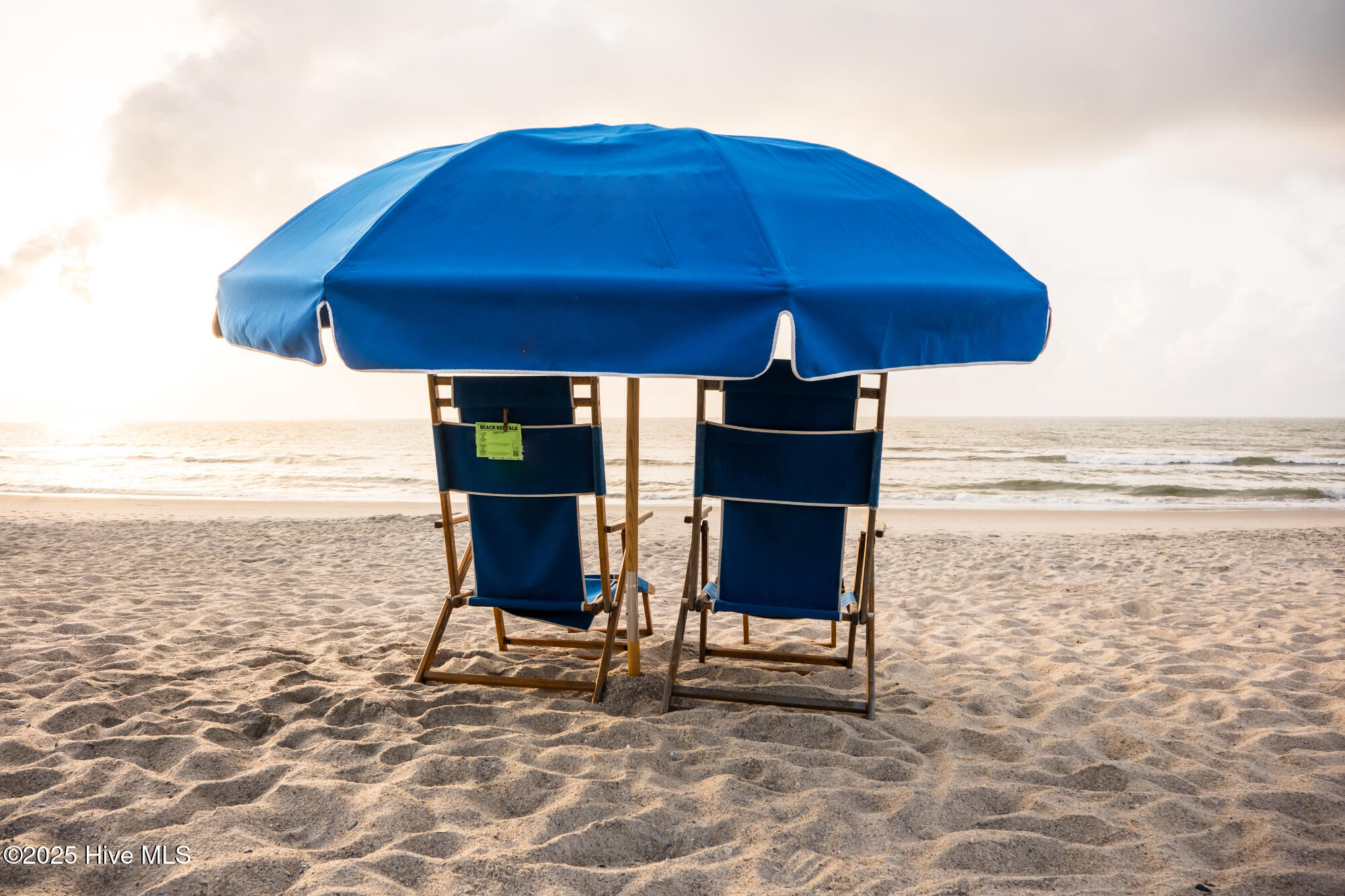 100529961 | Photo 12