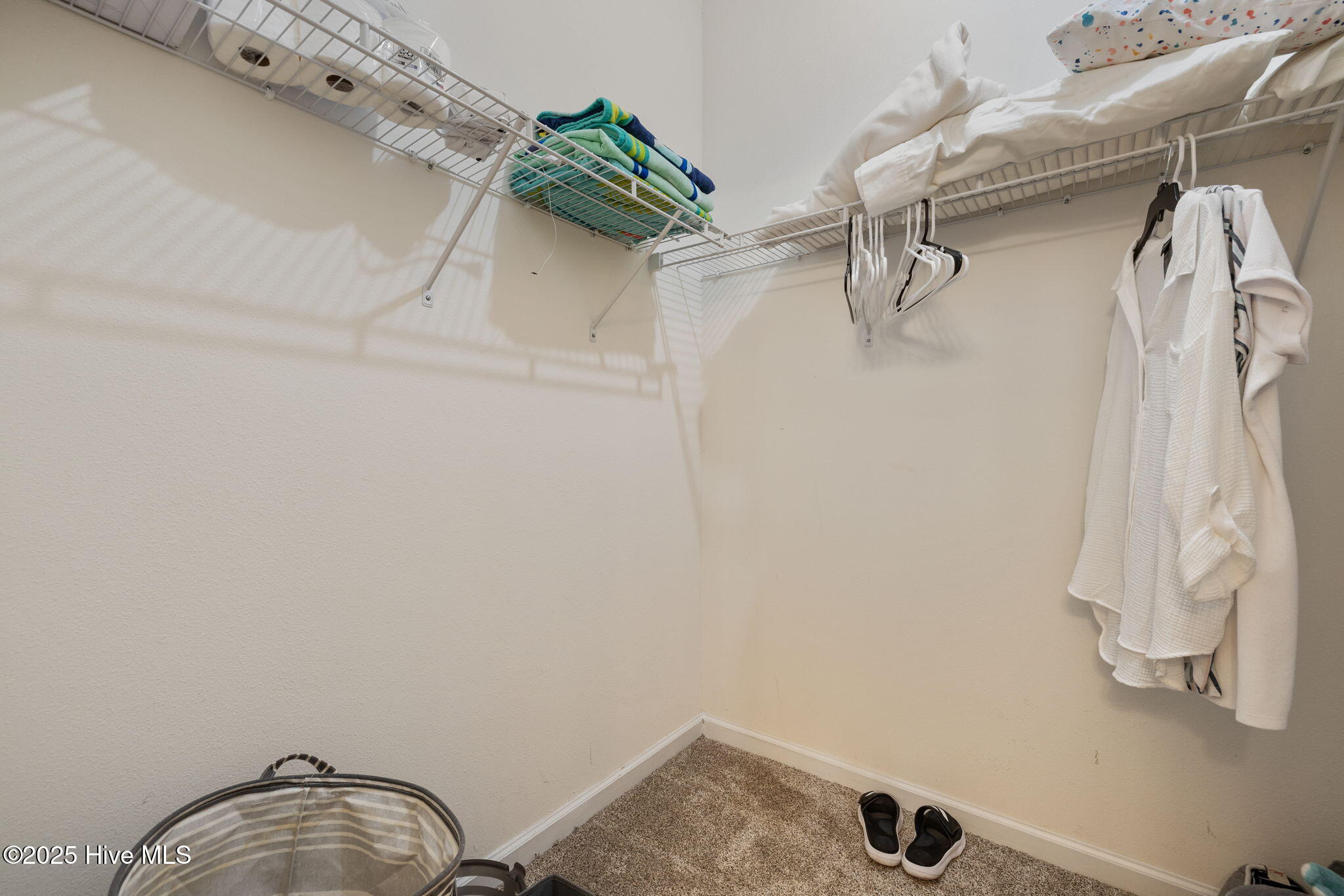 100546293 | Photo 17