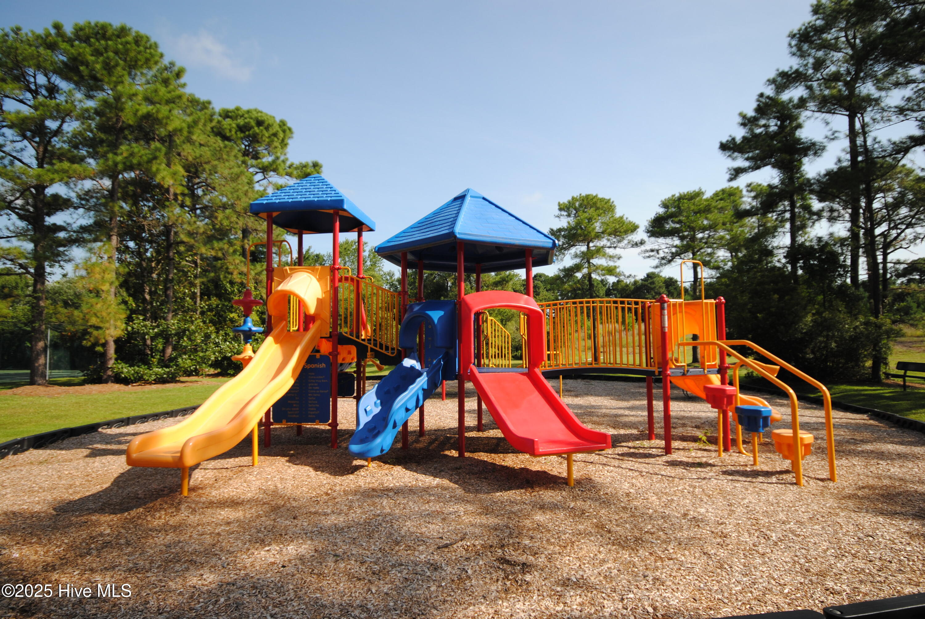 100540113 | Photo 46