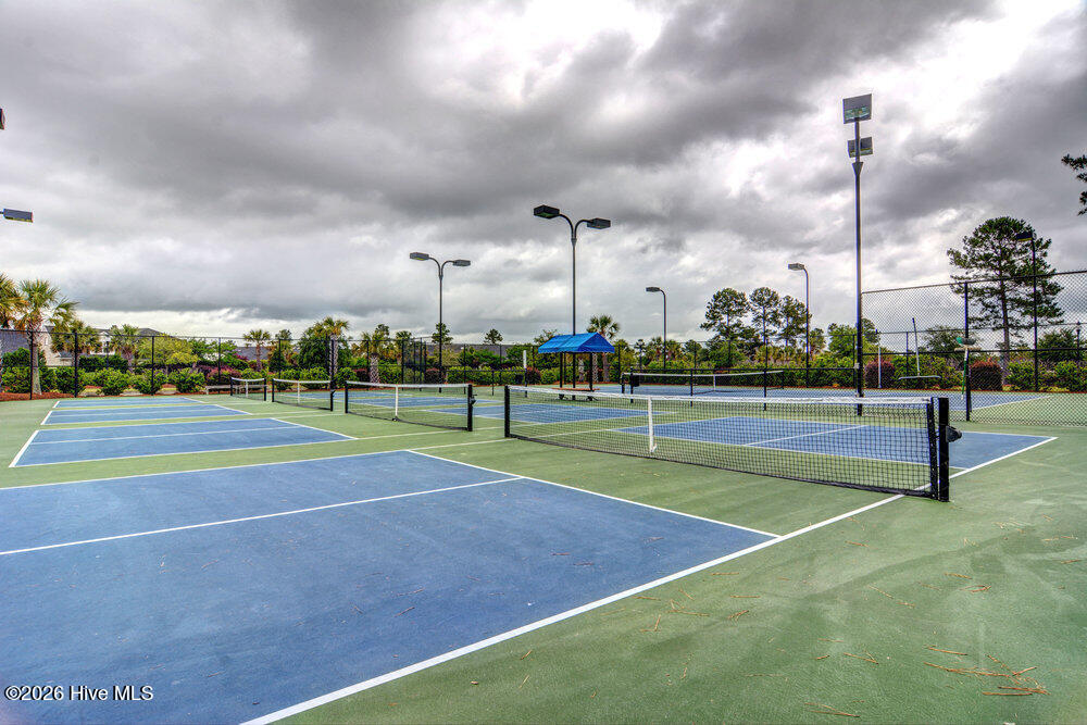 100554045 | Photo 61