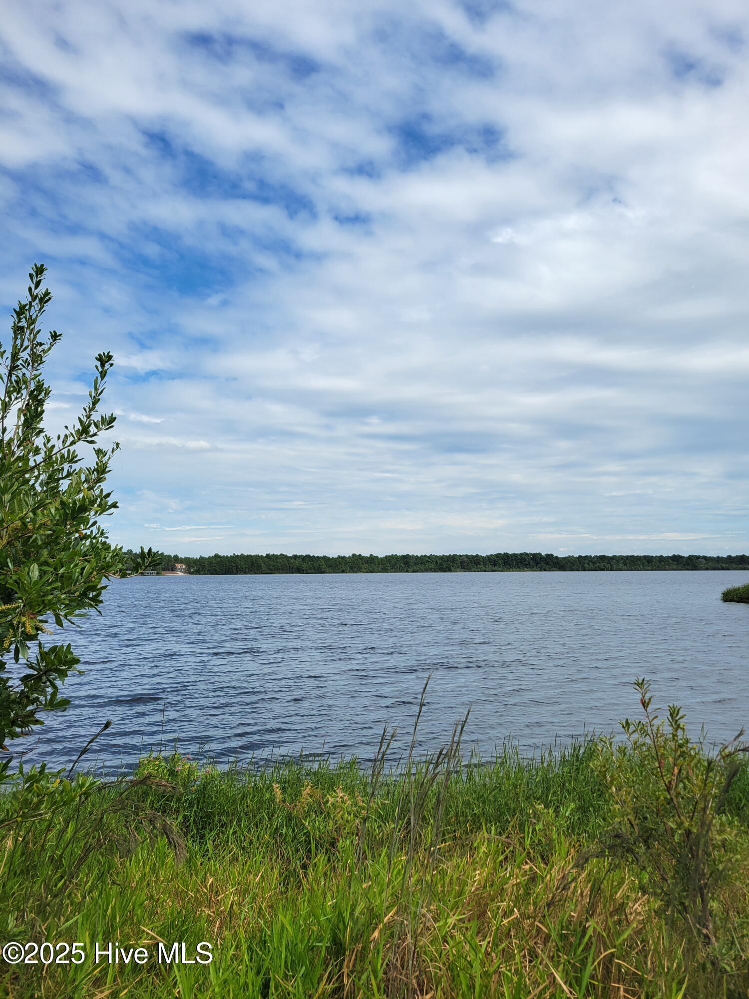 Homes for sale in Harrells, NC | 545 S Horsepen Dr, Harrells, NC 28444 | MLS# 100531349