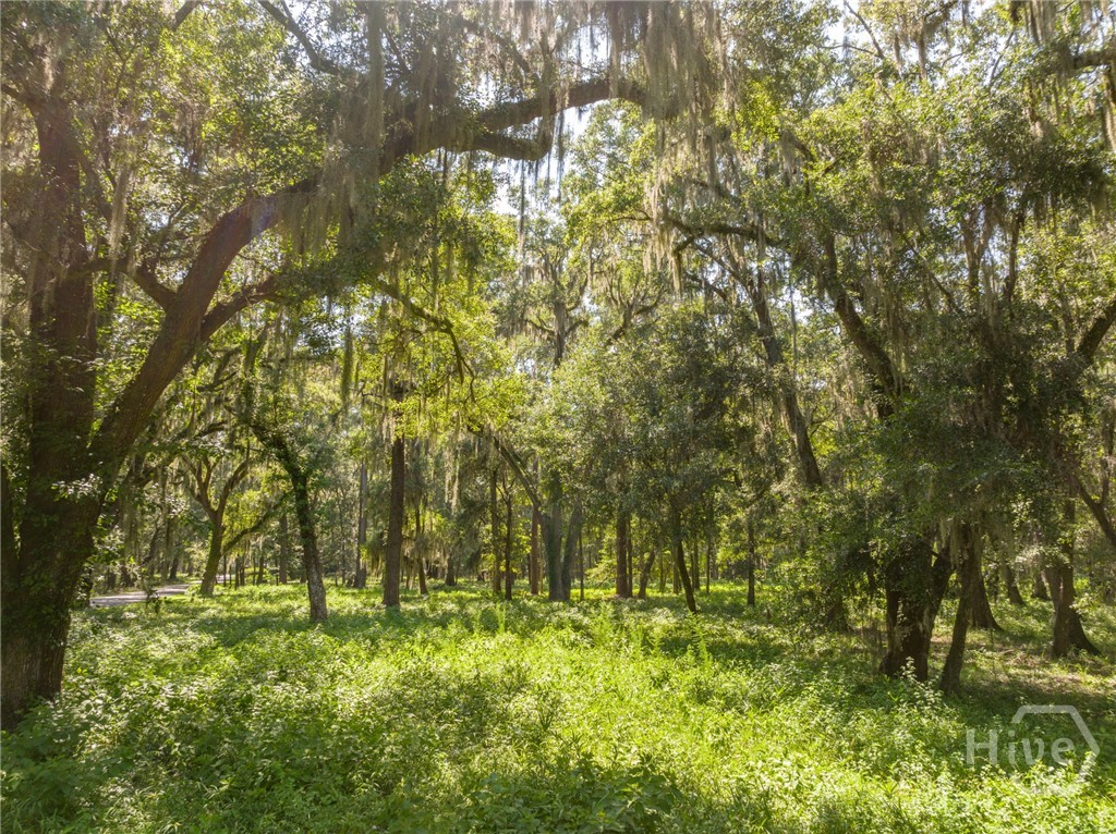5th image of 777 Silk Hope Dr, Richmond Hill, GA 31324 | MLS# SA363428