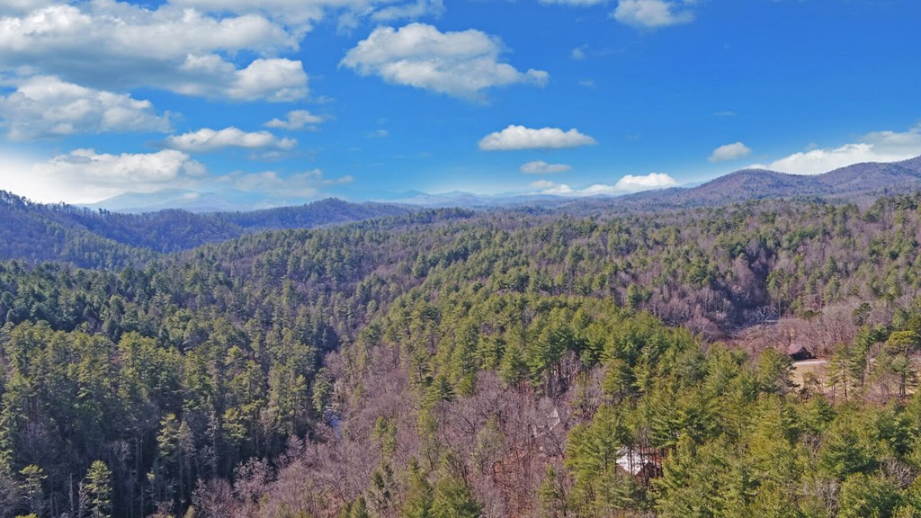 483 Vineyard Creek Way, Murphy, NC 28906 Listing Photo  61