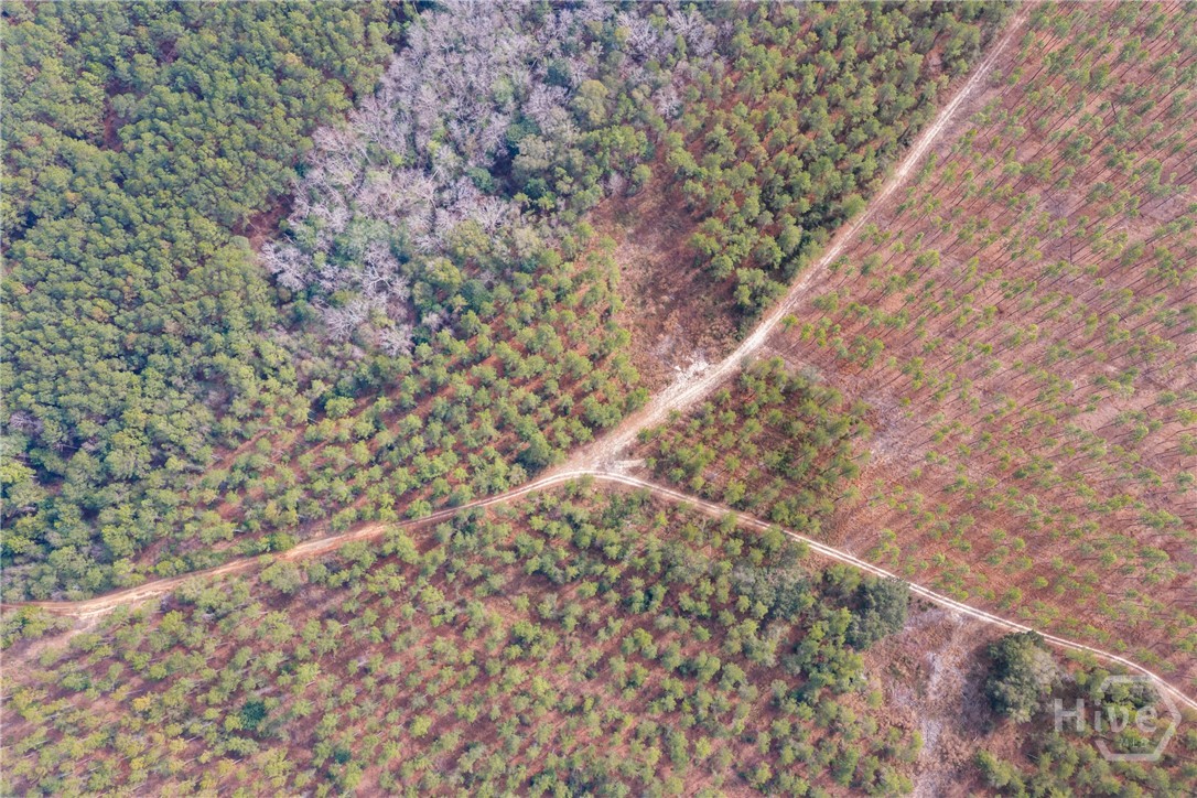 1000 Old River Road S, Brooklet, GA, 30415