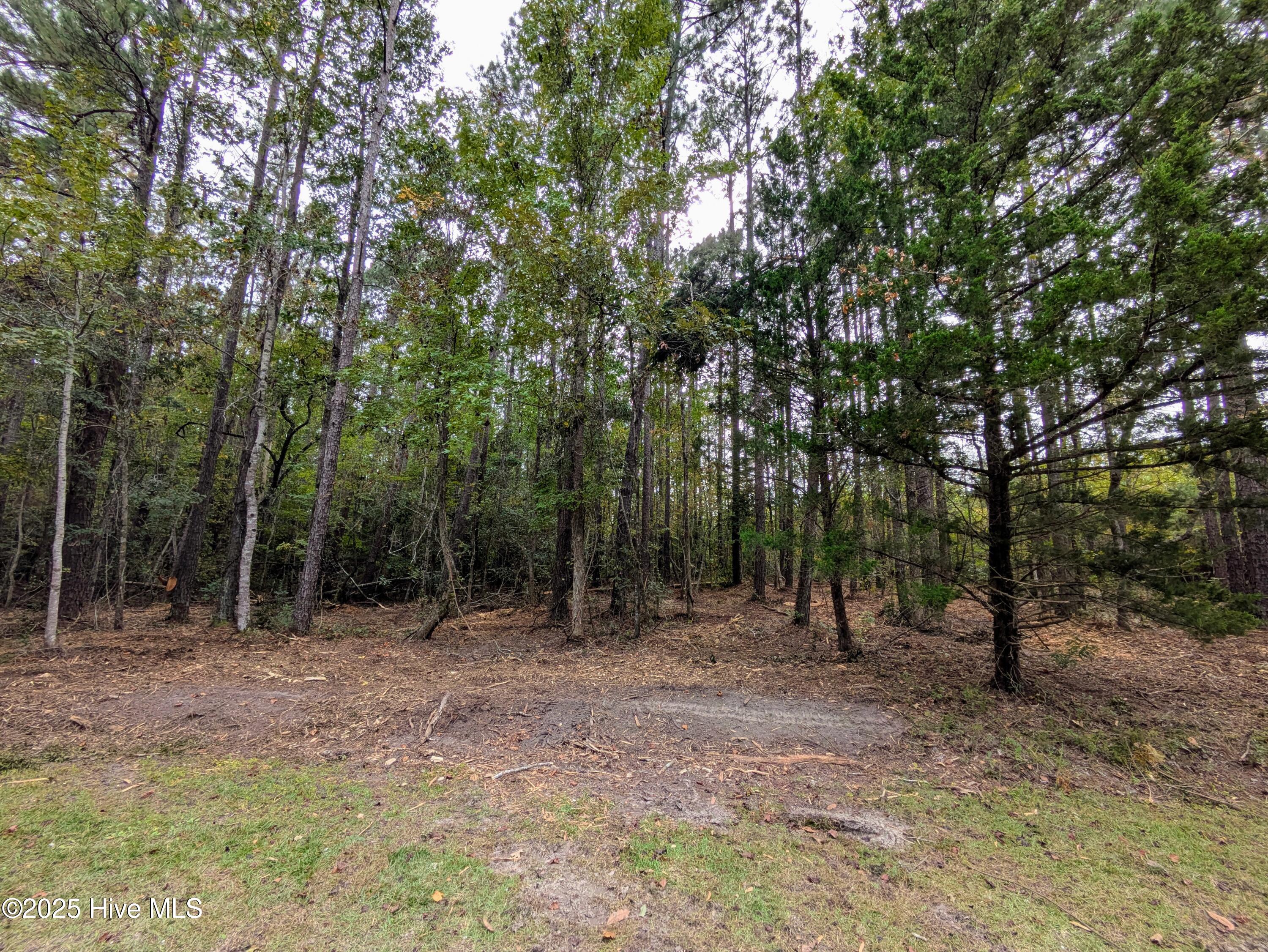 100535245 | Photo 19