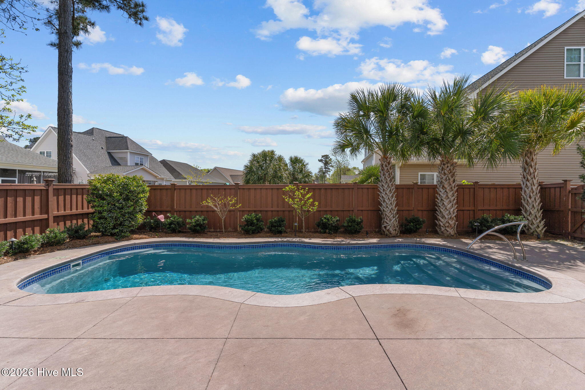 100564202 | Photo 40