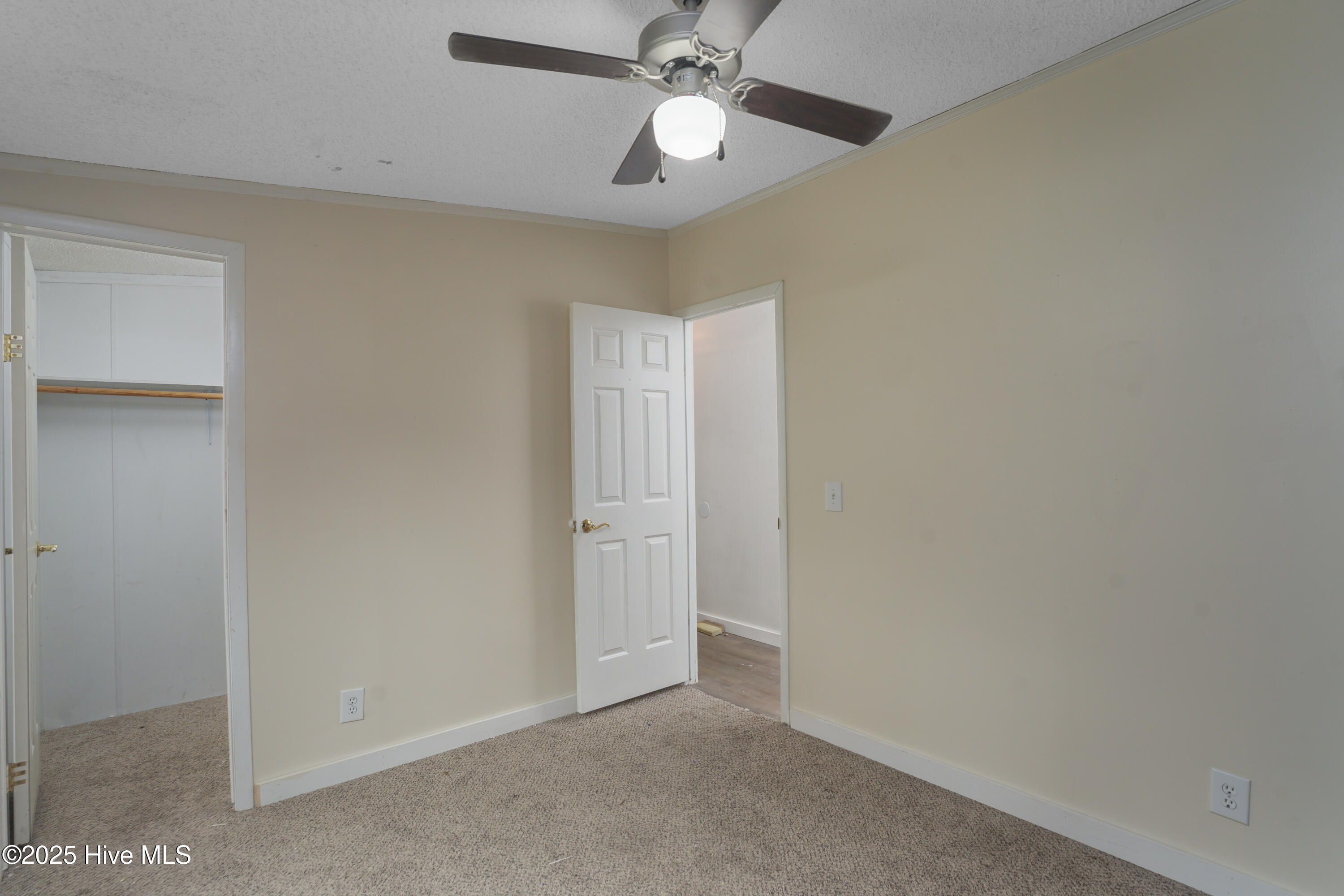 100536641 | Photo 34