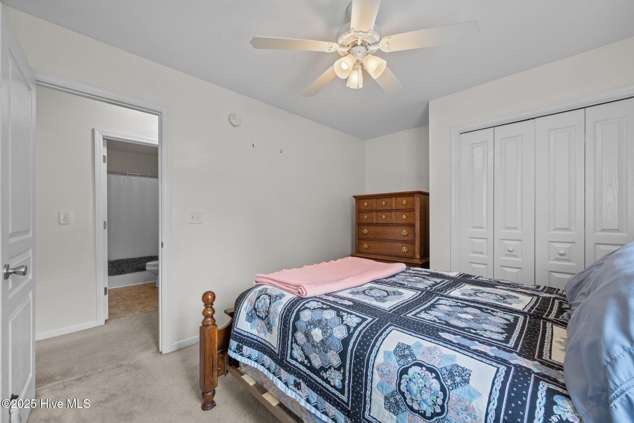 100526842 | Photo 23