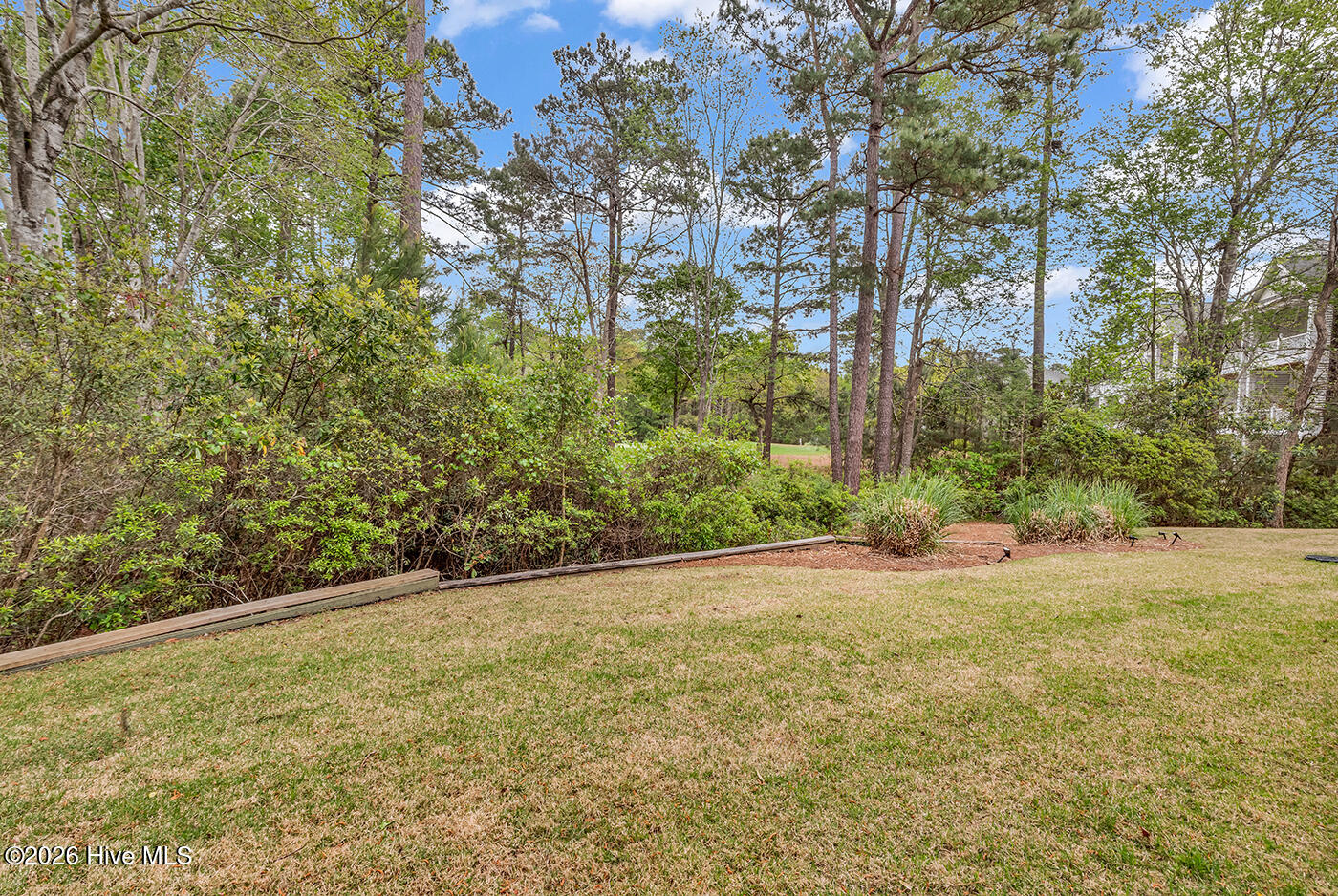 100566110 | Photo 38