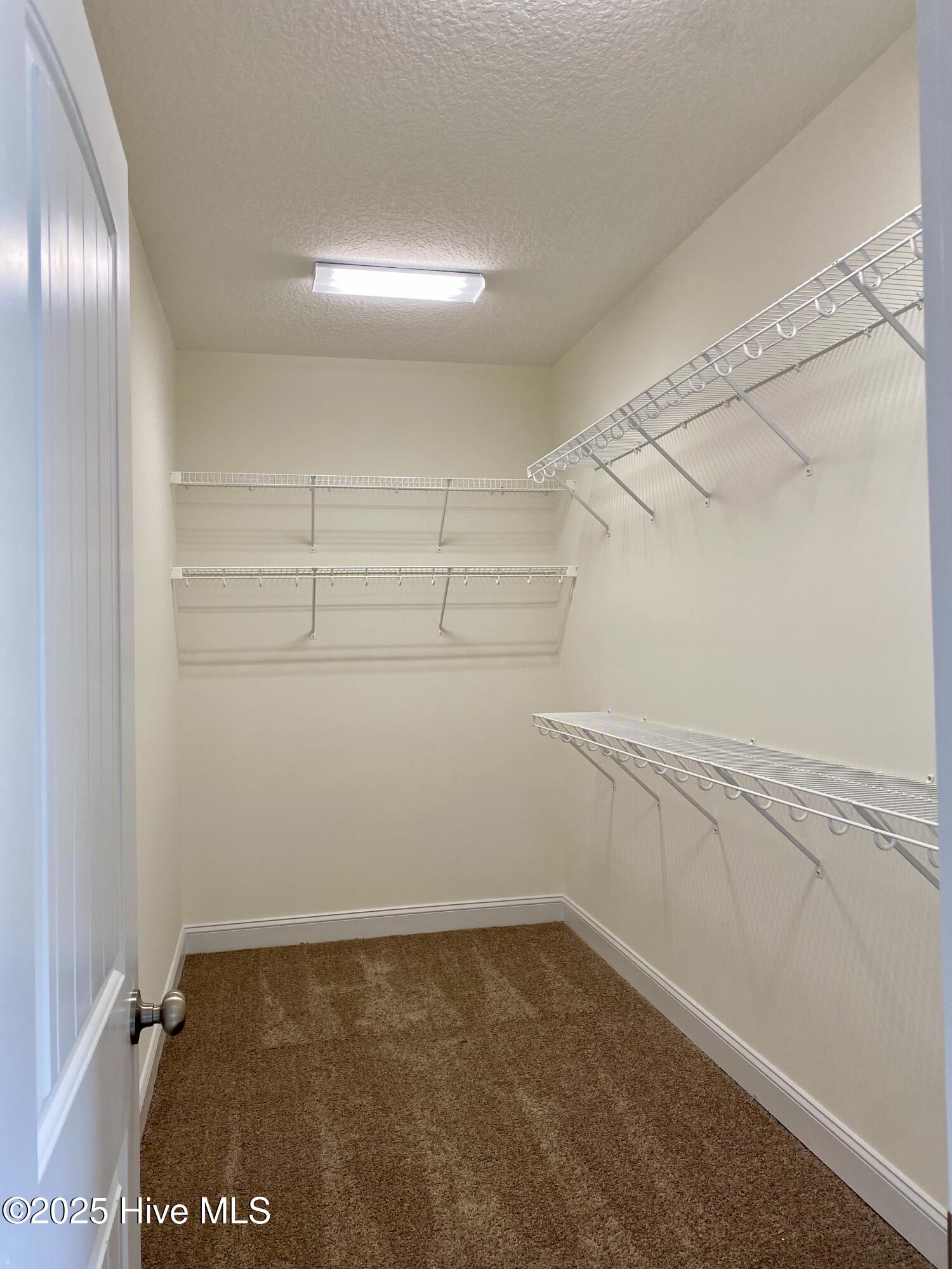 100483147 | Photo 21