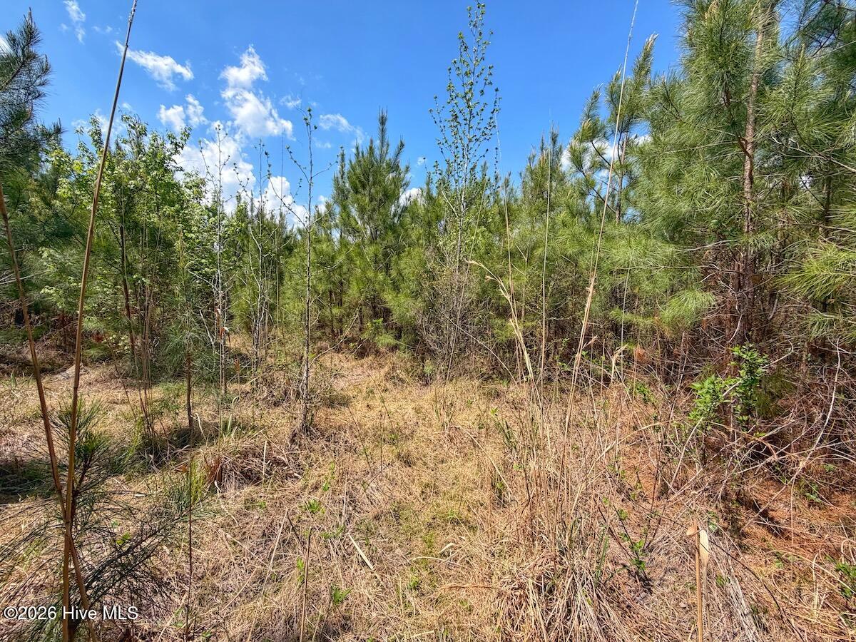 0 Guinea Mill Road, Ernul, NC, 28527