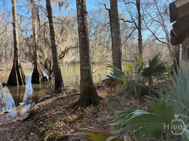 1000 Old River Road S, Brooklet, GA, 30415