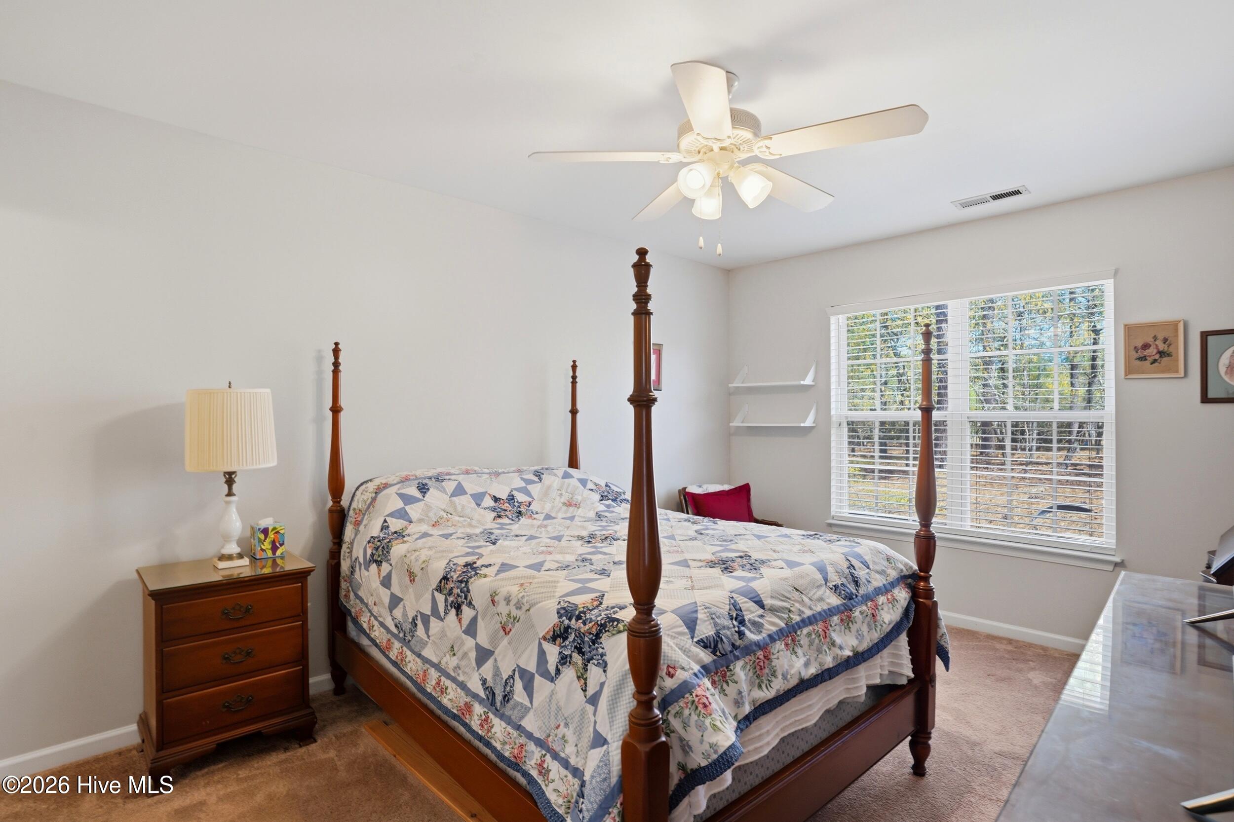 100565868 | Photo 13