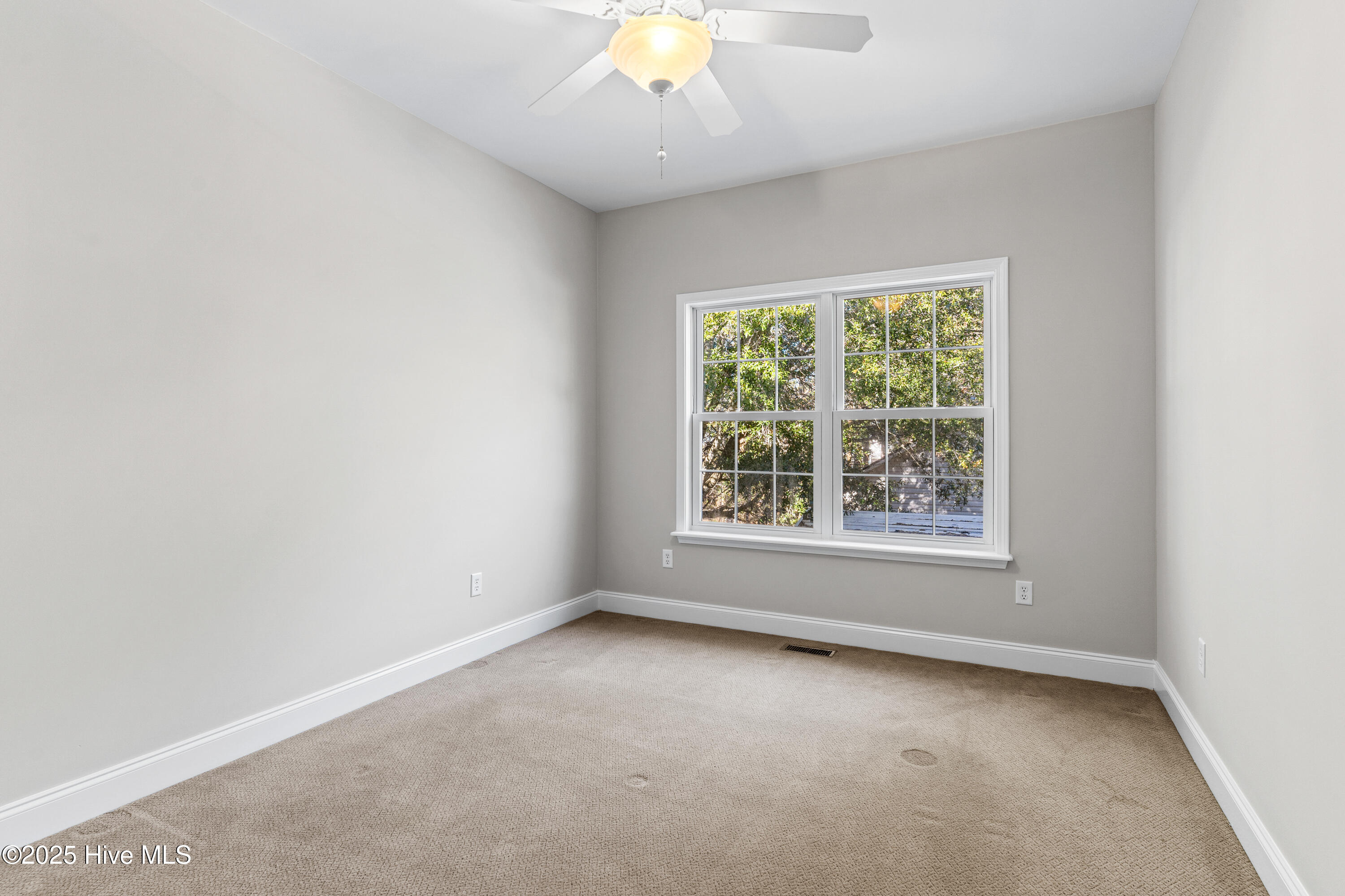 100482741 | Photo 23