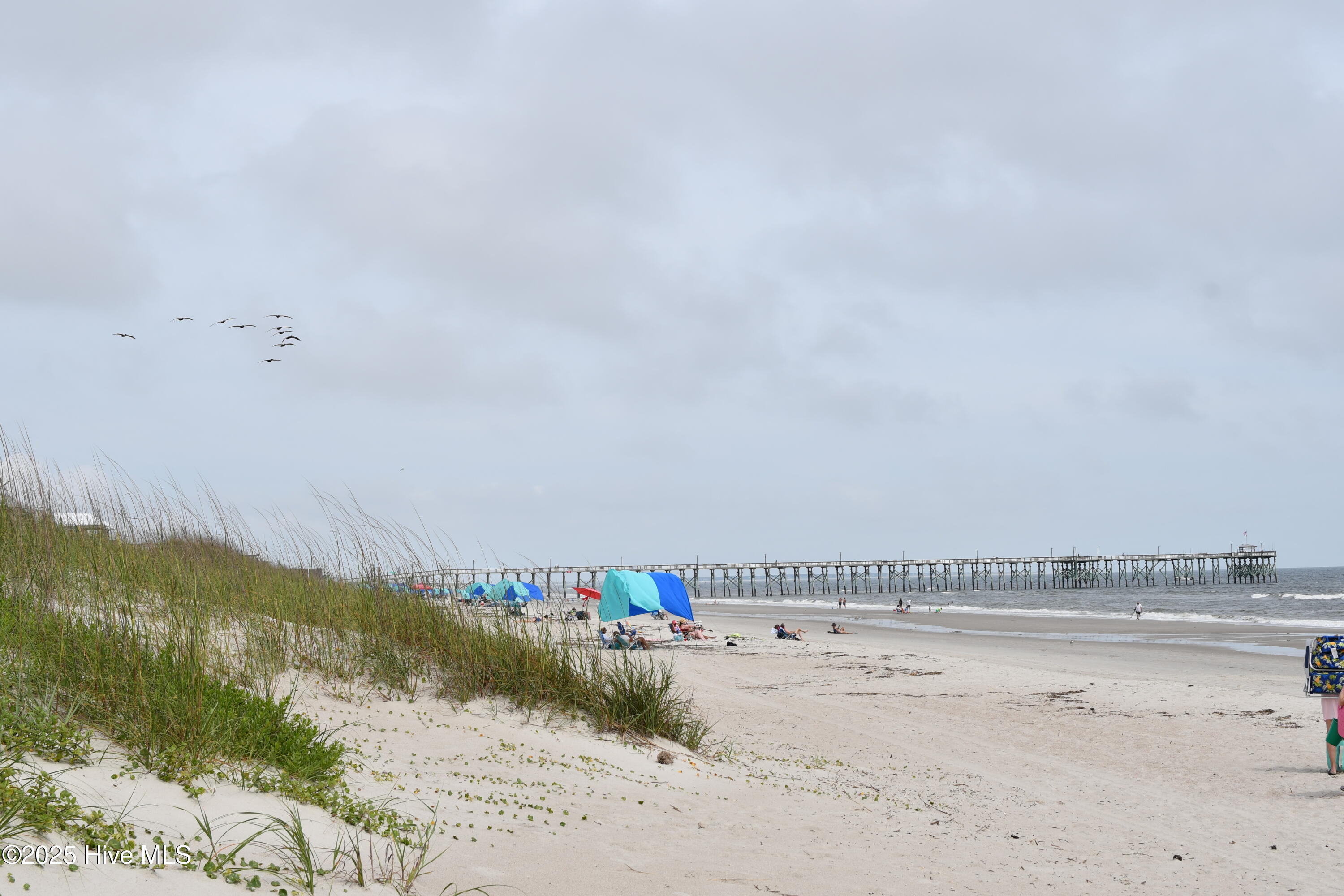 100564186 | Photo 28