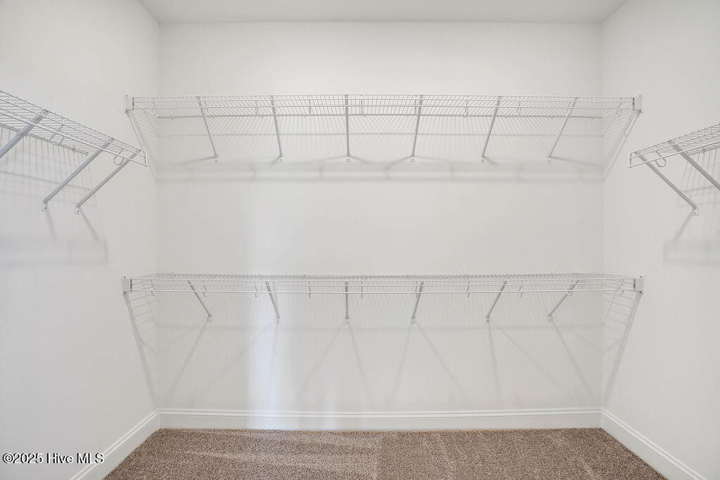 100461561 | Photo 20