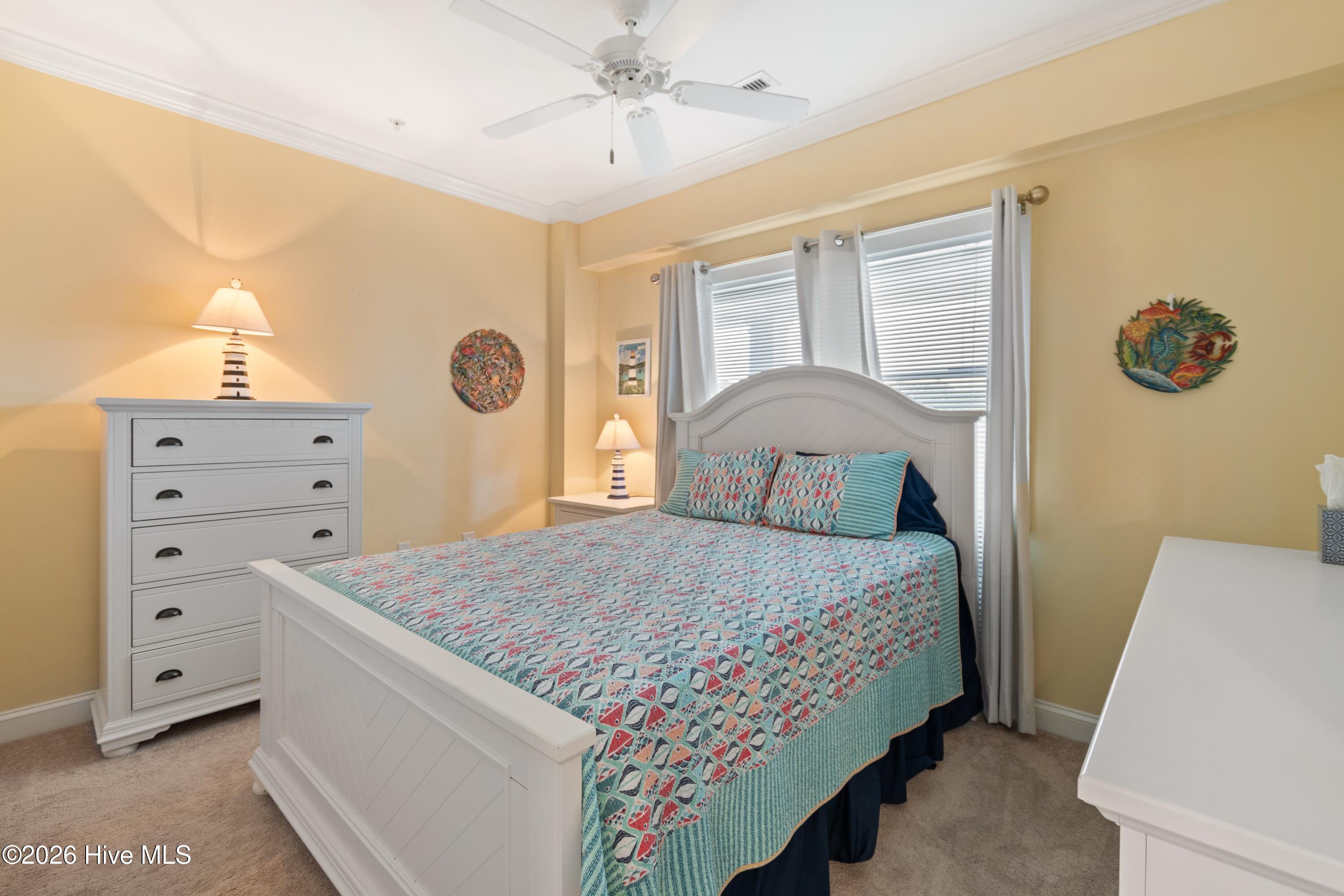 100566175 | Photo 22