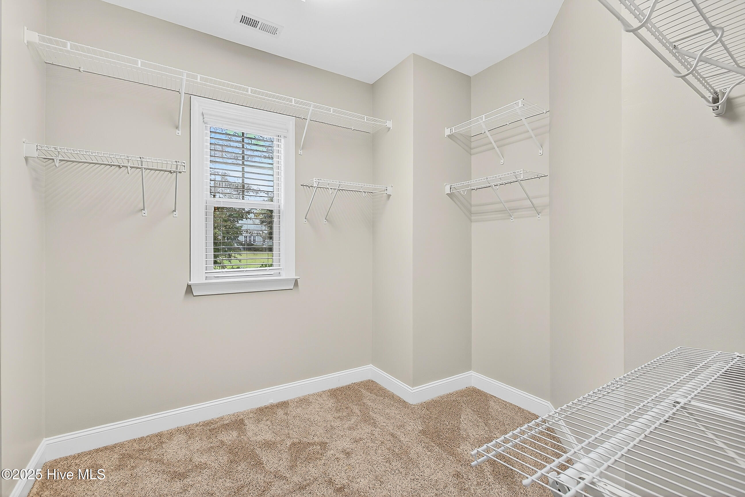 100534677 | Photo 34