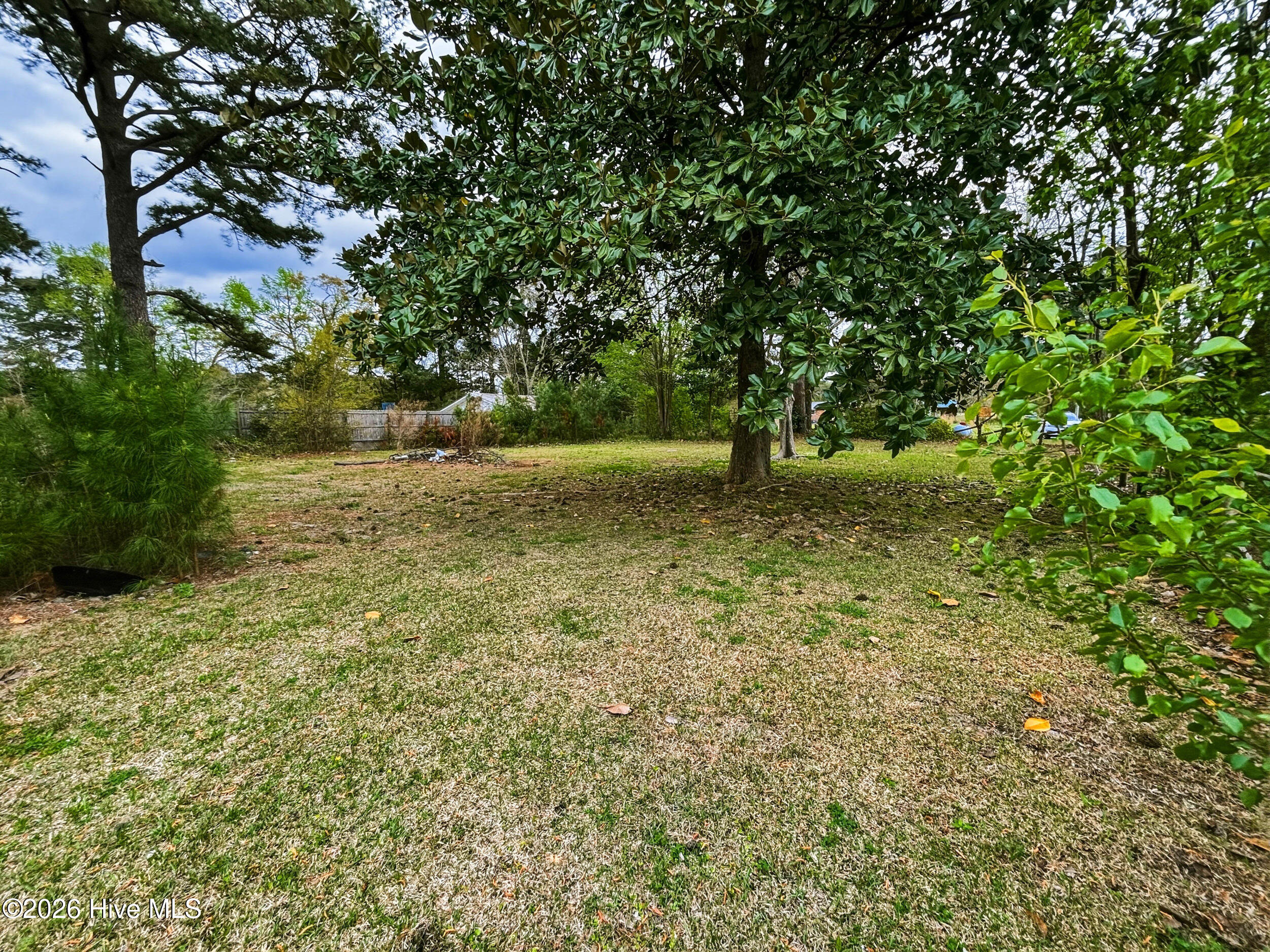 100564233 | Photo 20