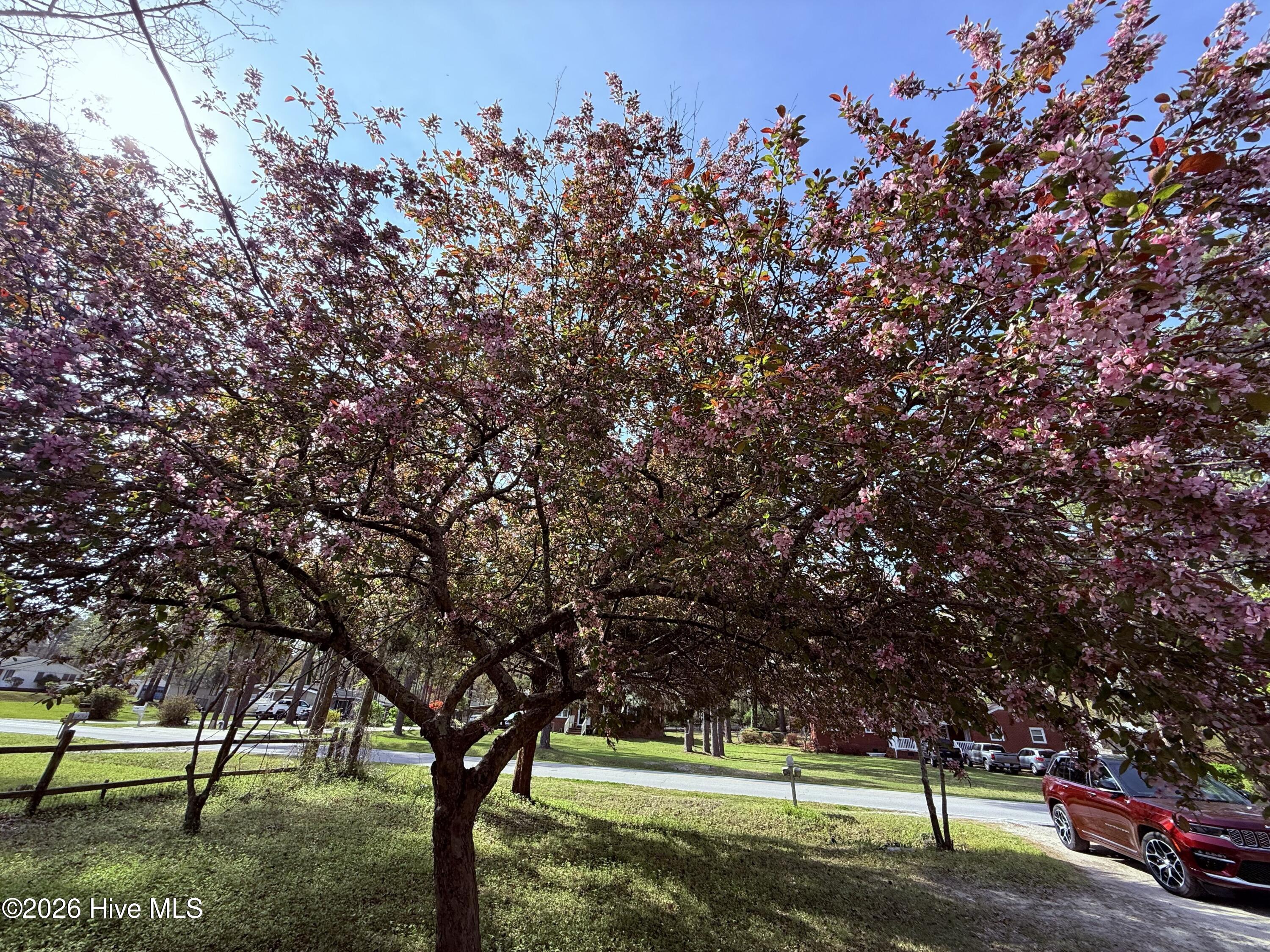 910 Highland Avenue,Trent Woods